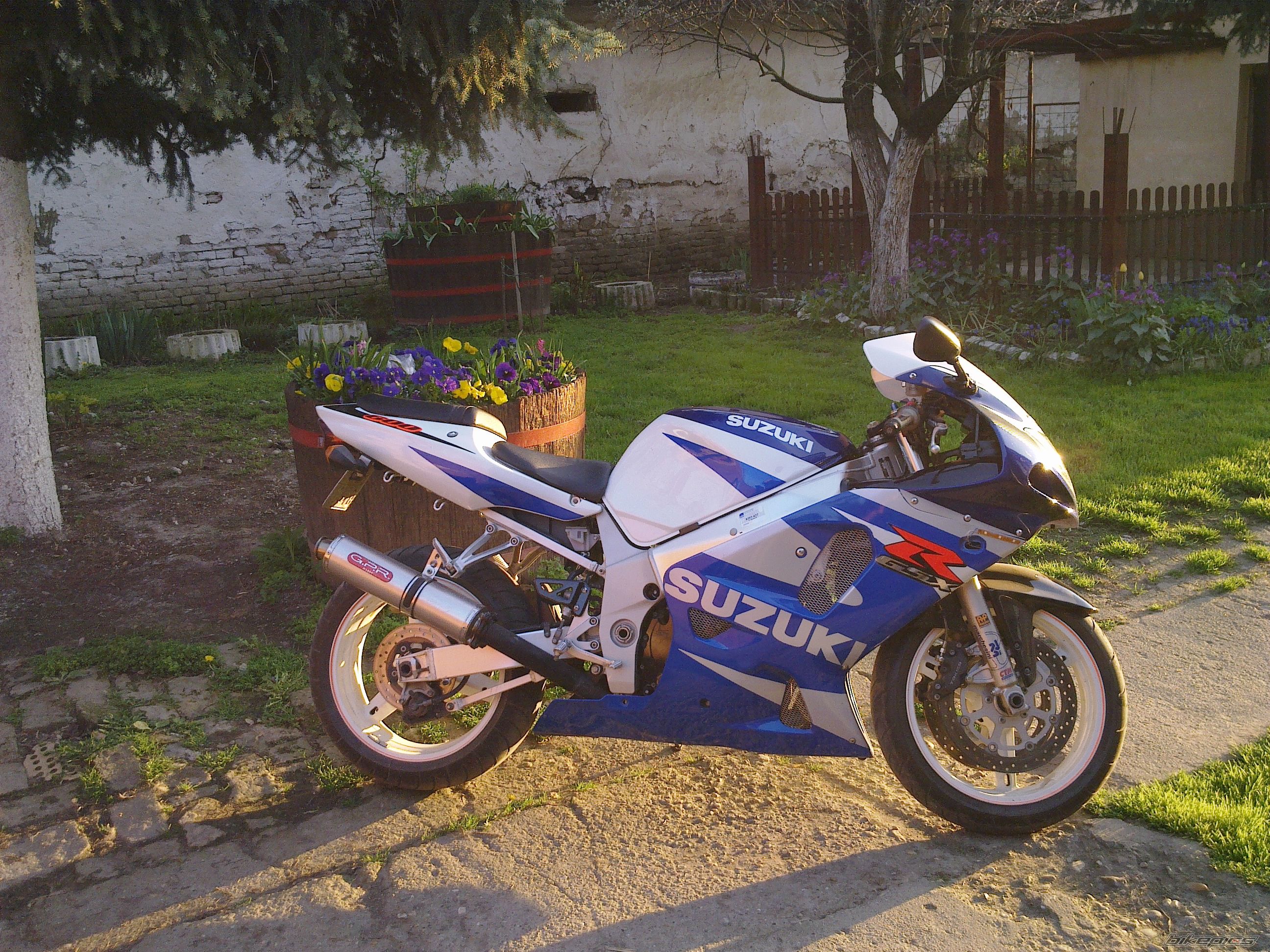 Photo 2731272