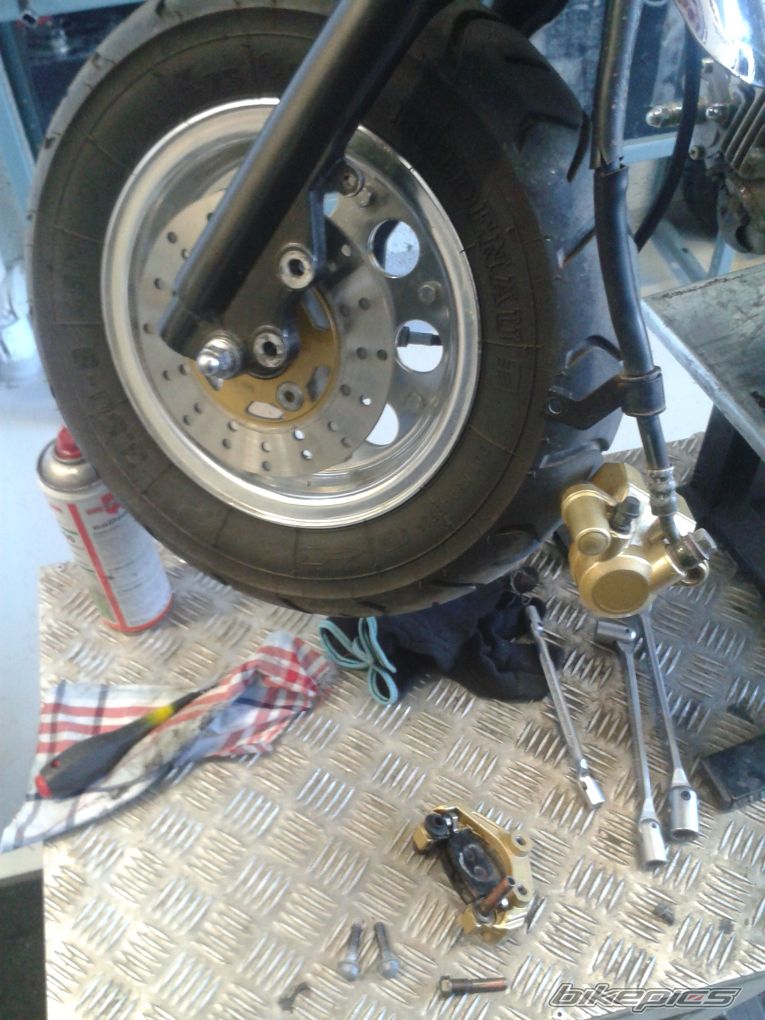Photo 2731297