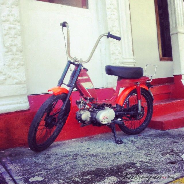 Photo 2731370