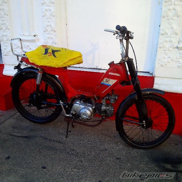 Photo 2731372