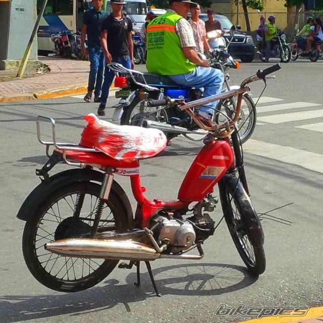 Photo 2731373