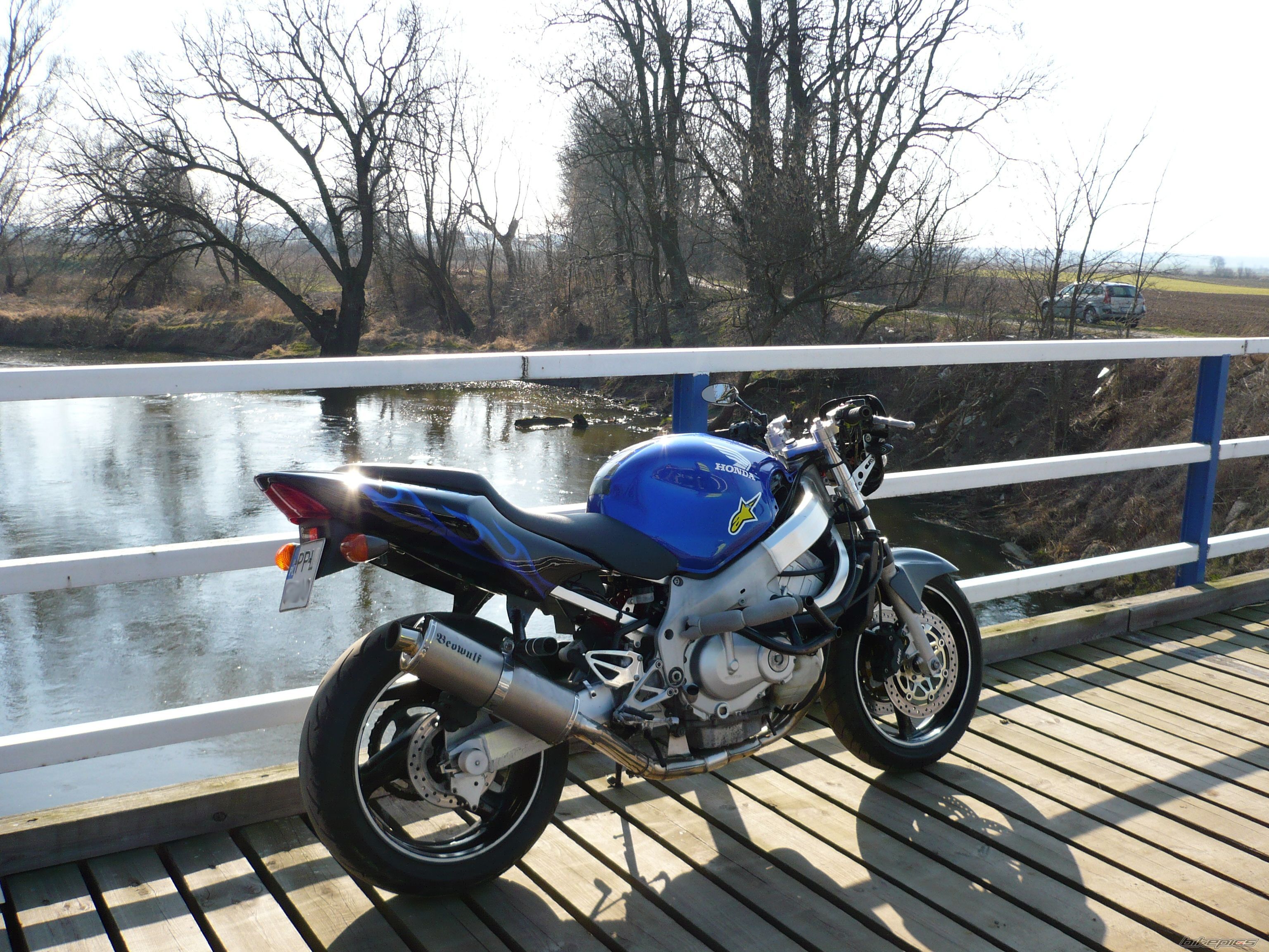 Photo 2731435