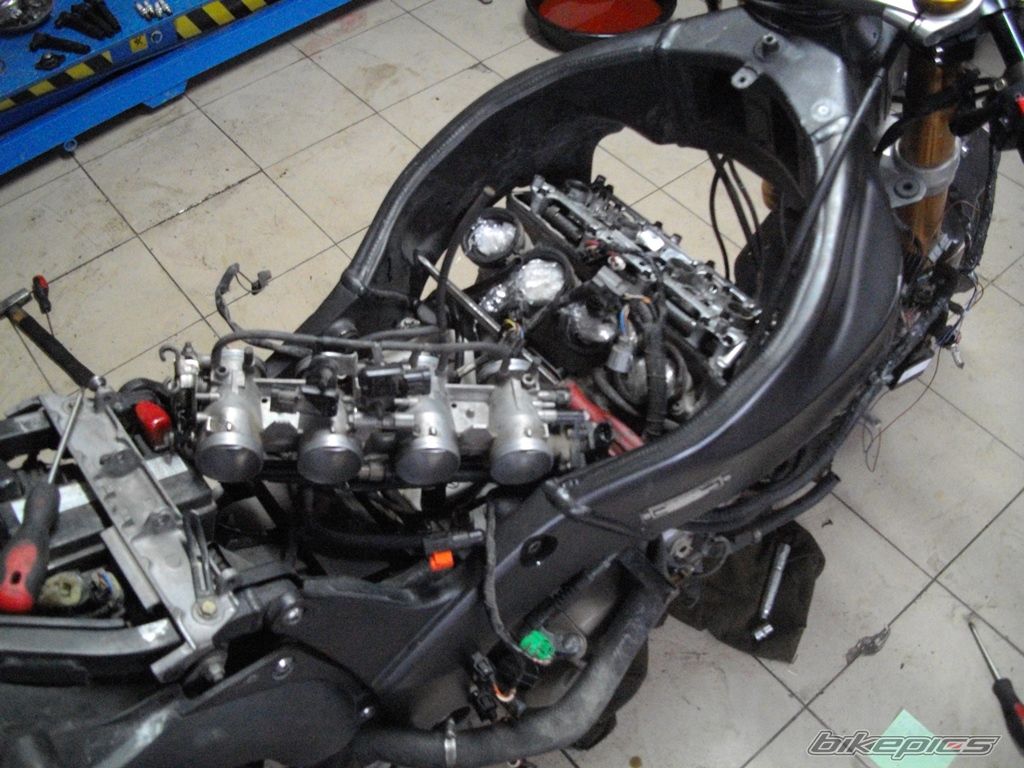 Photo 2731442