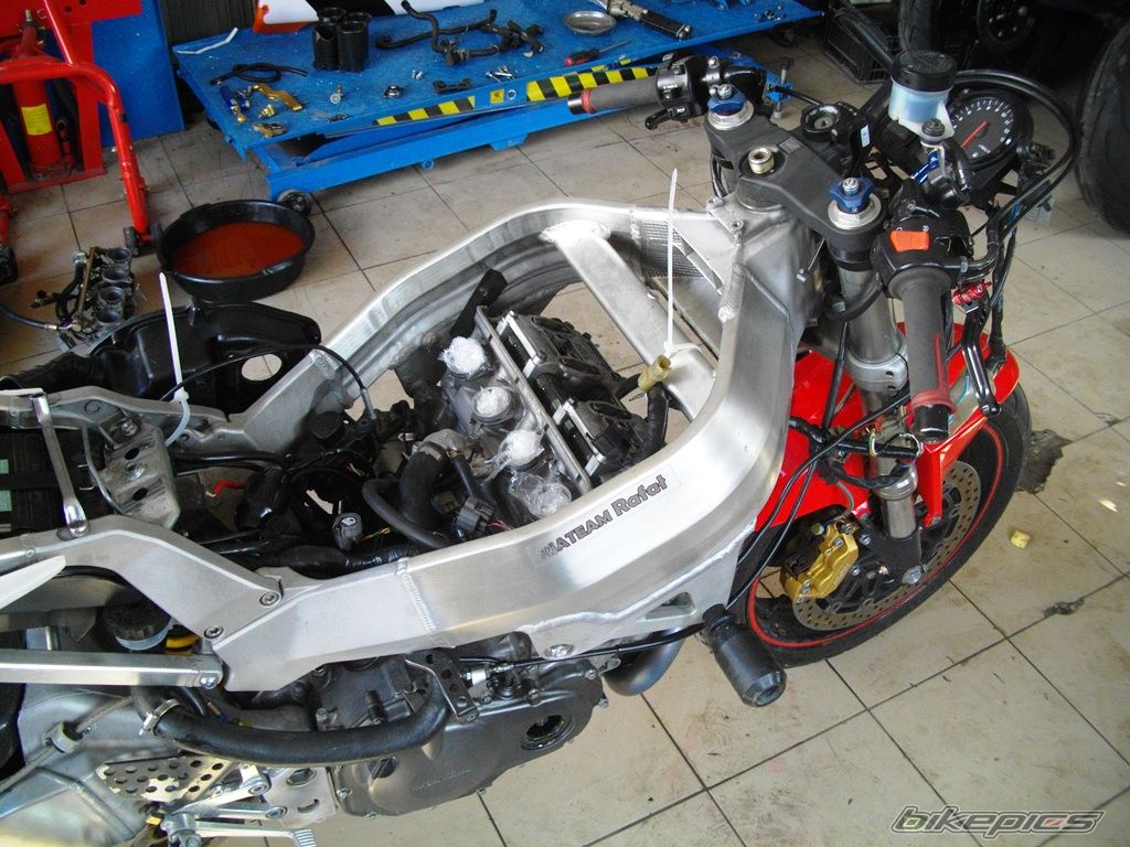 Photo 2731445