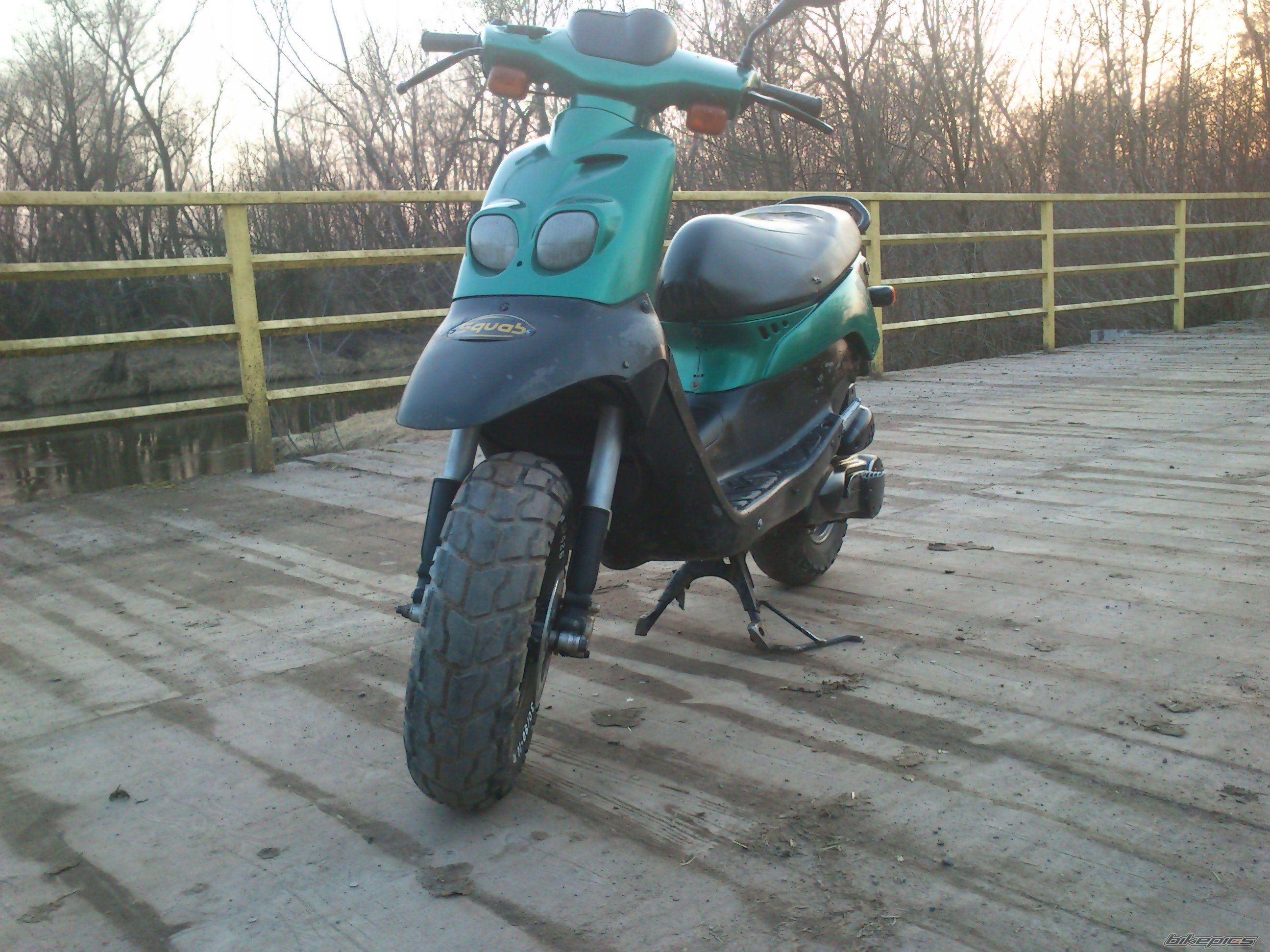 Photo 2731485