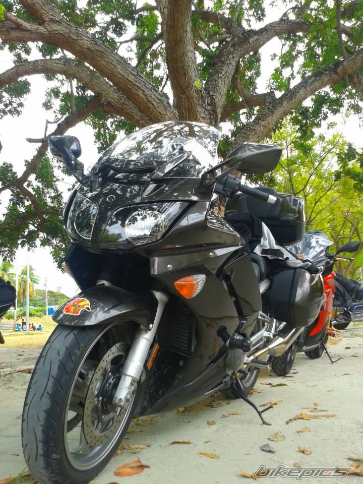 Photo 2731489