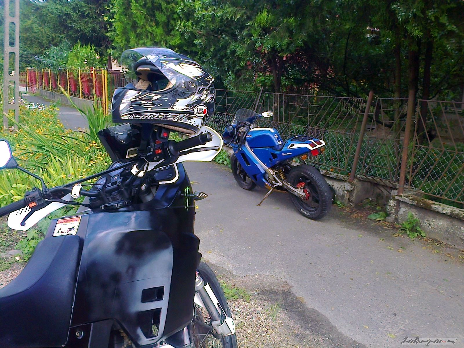 Photo 2731663