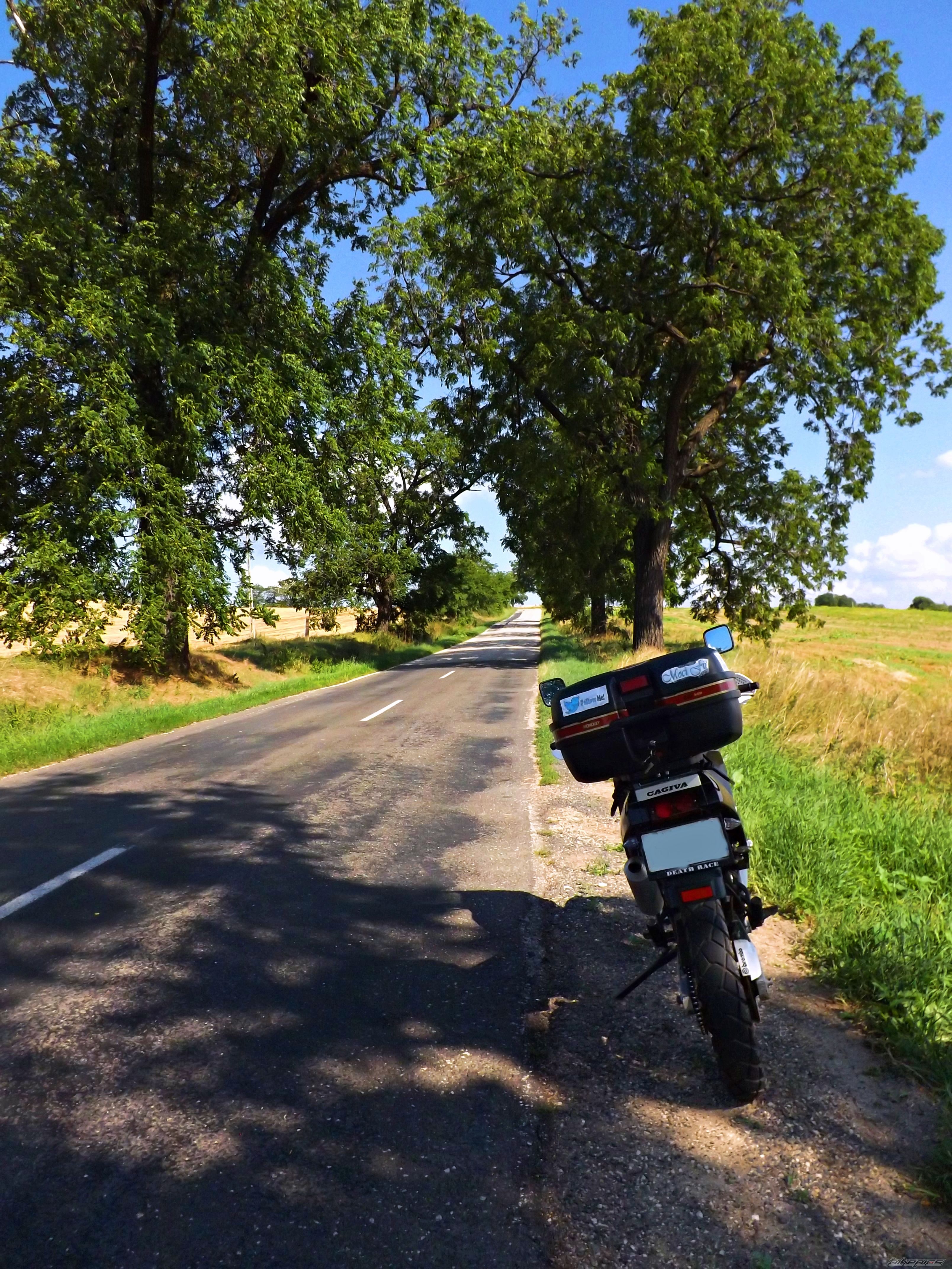 Photo 2731671