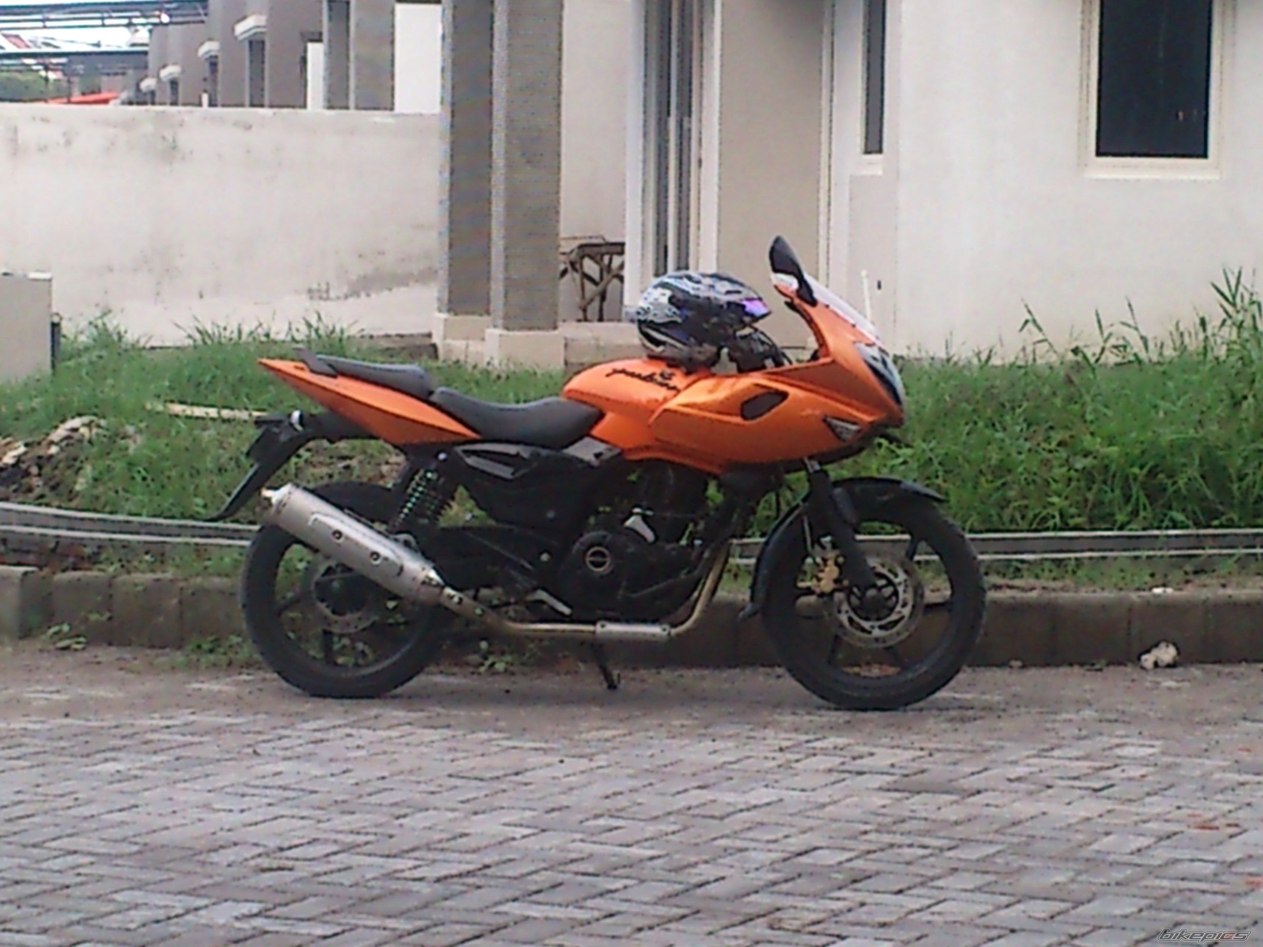 Photo 2731682
