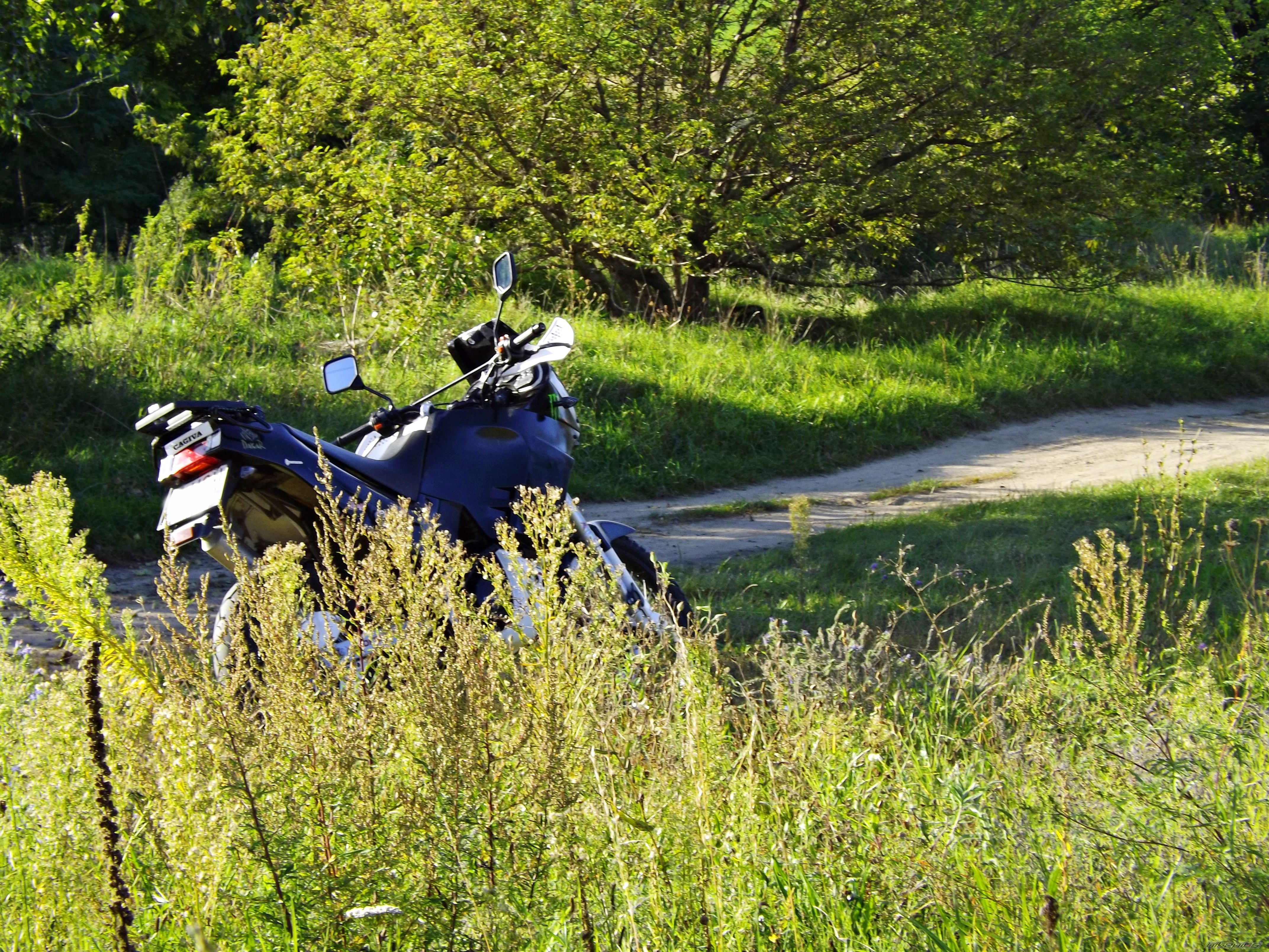 Photo 2731693