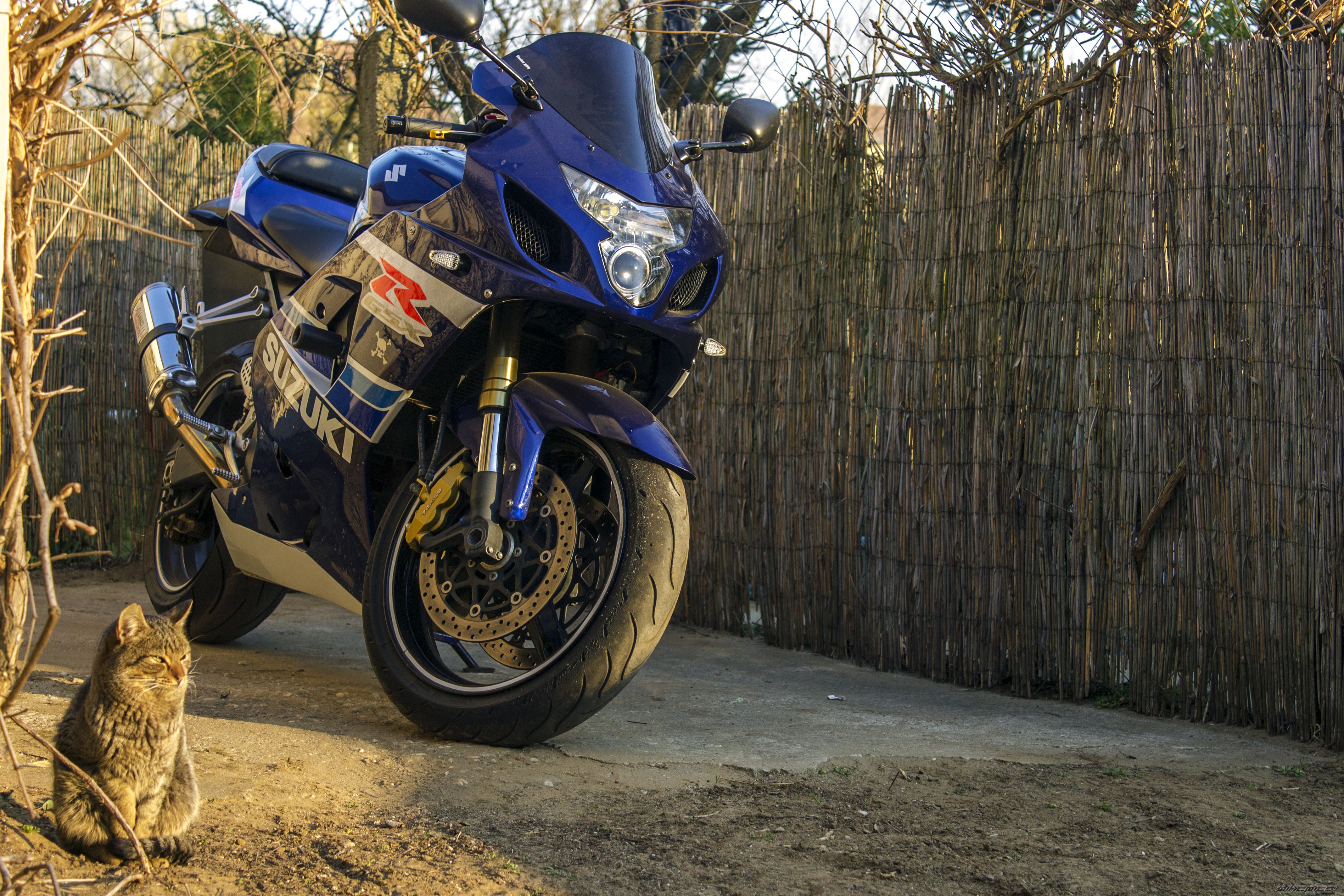 Bike Photo 2731711