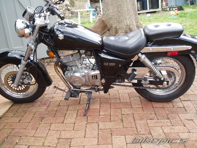 Photo 2731788