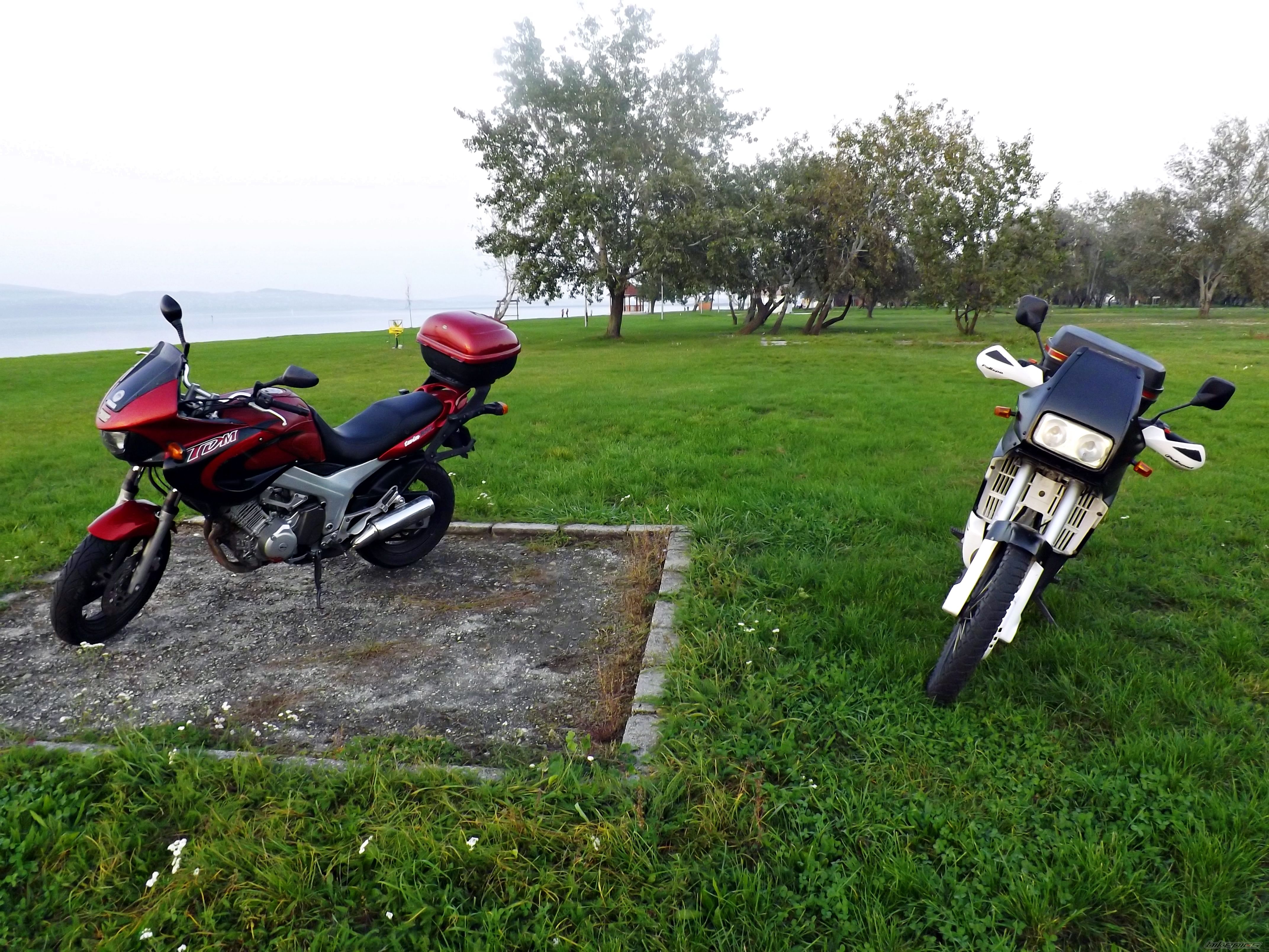 Photo 2731802