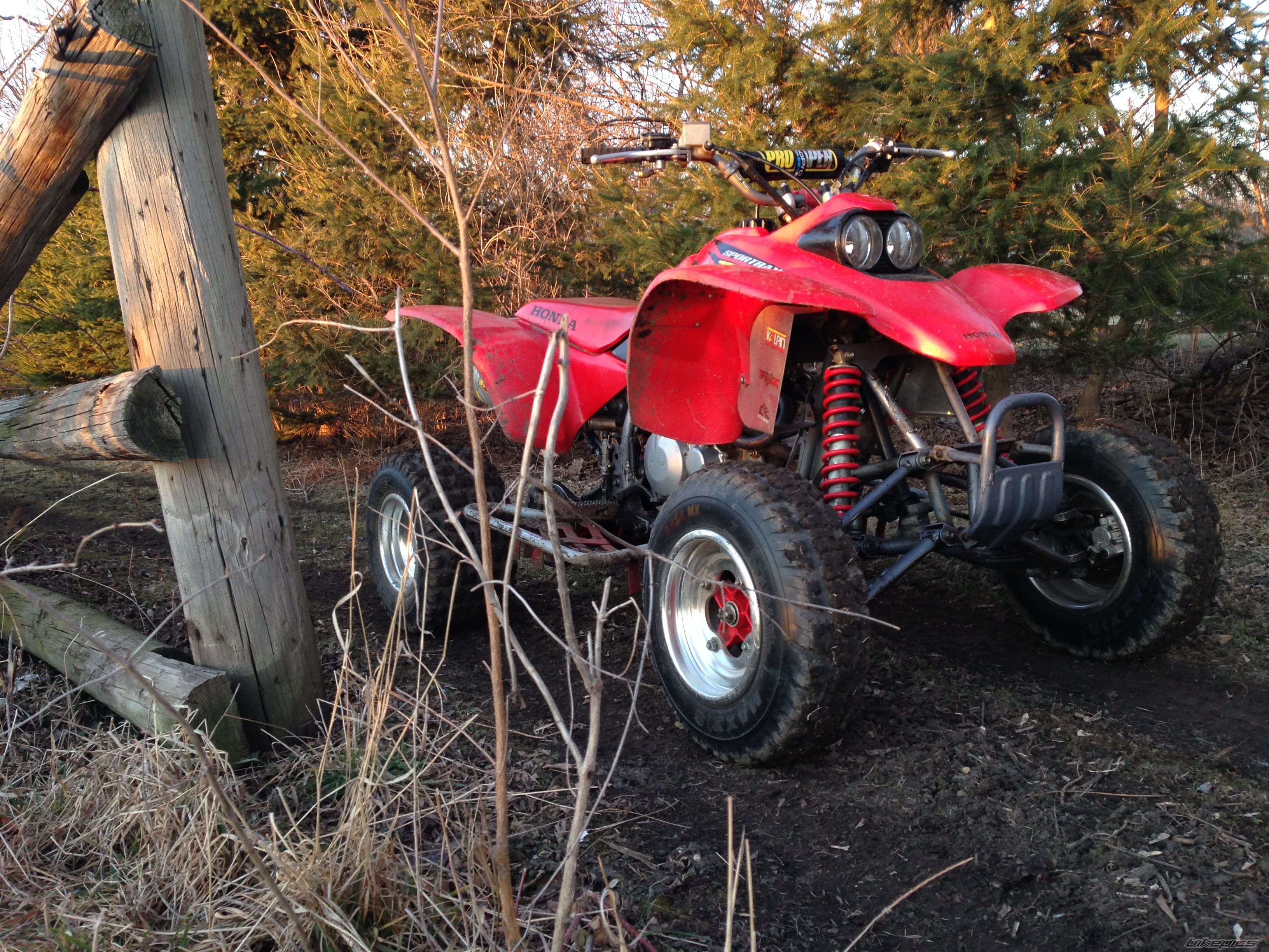 Photo 2731846