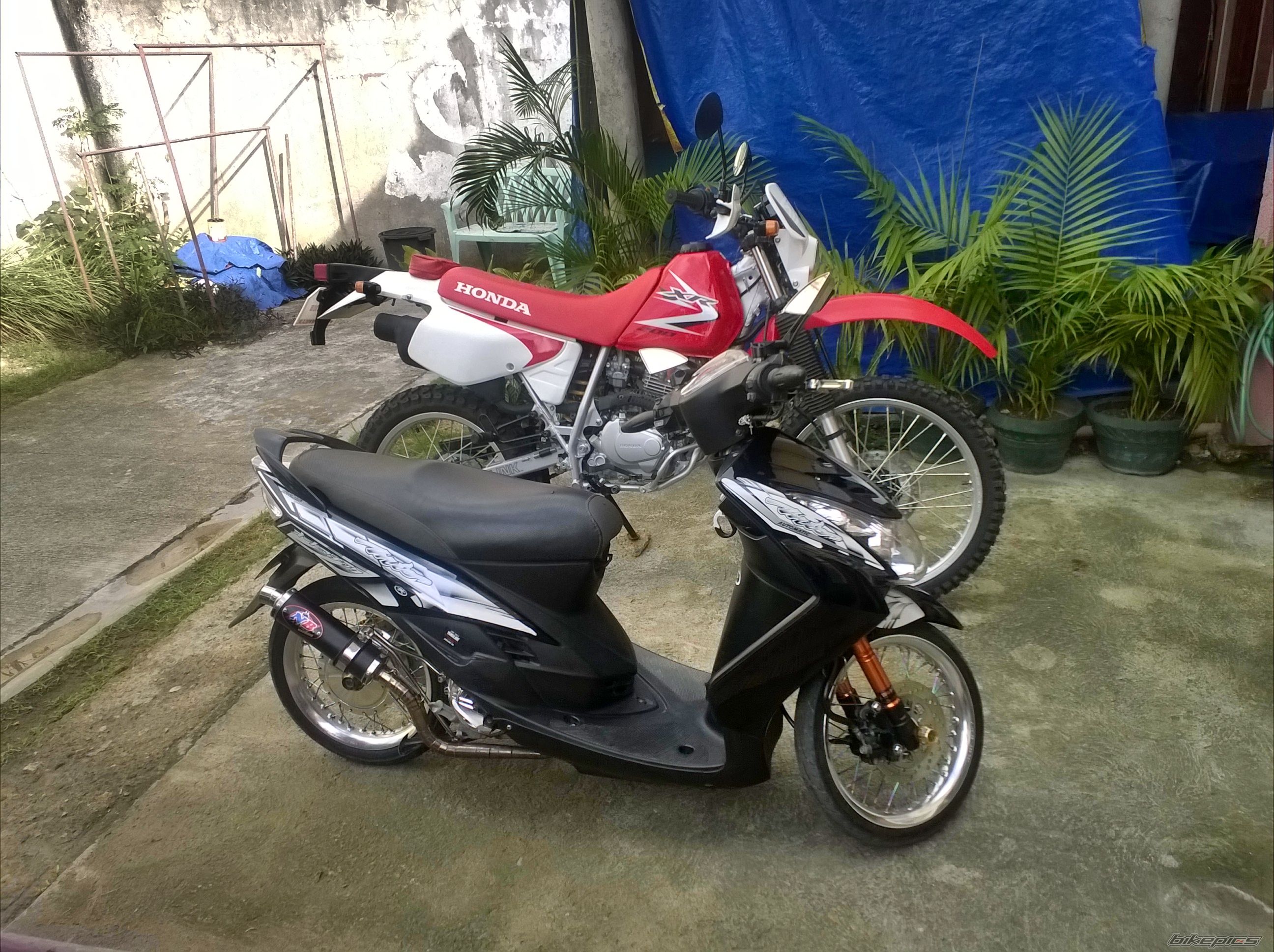 Photo 2731869