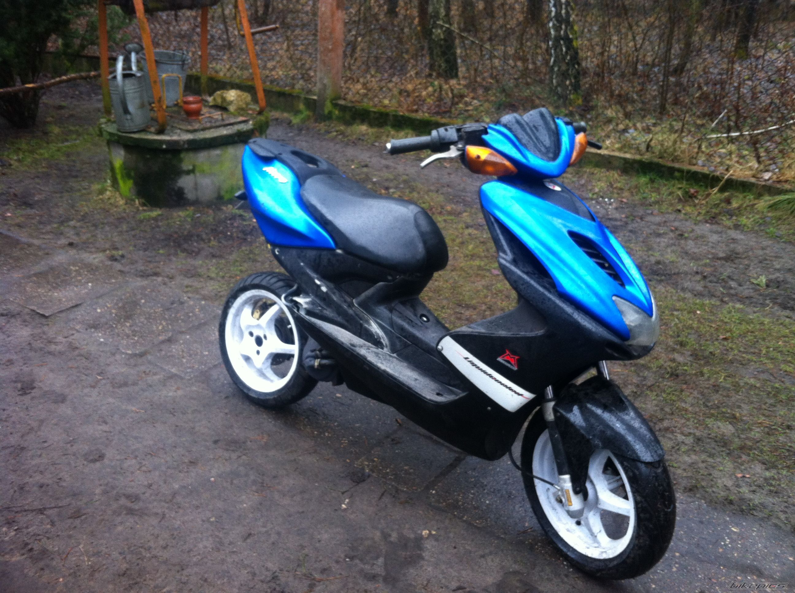 Photo 2731882