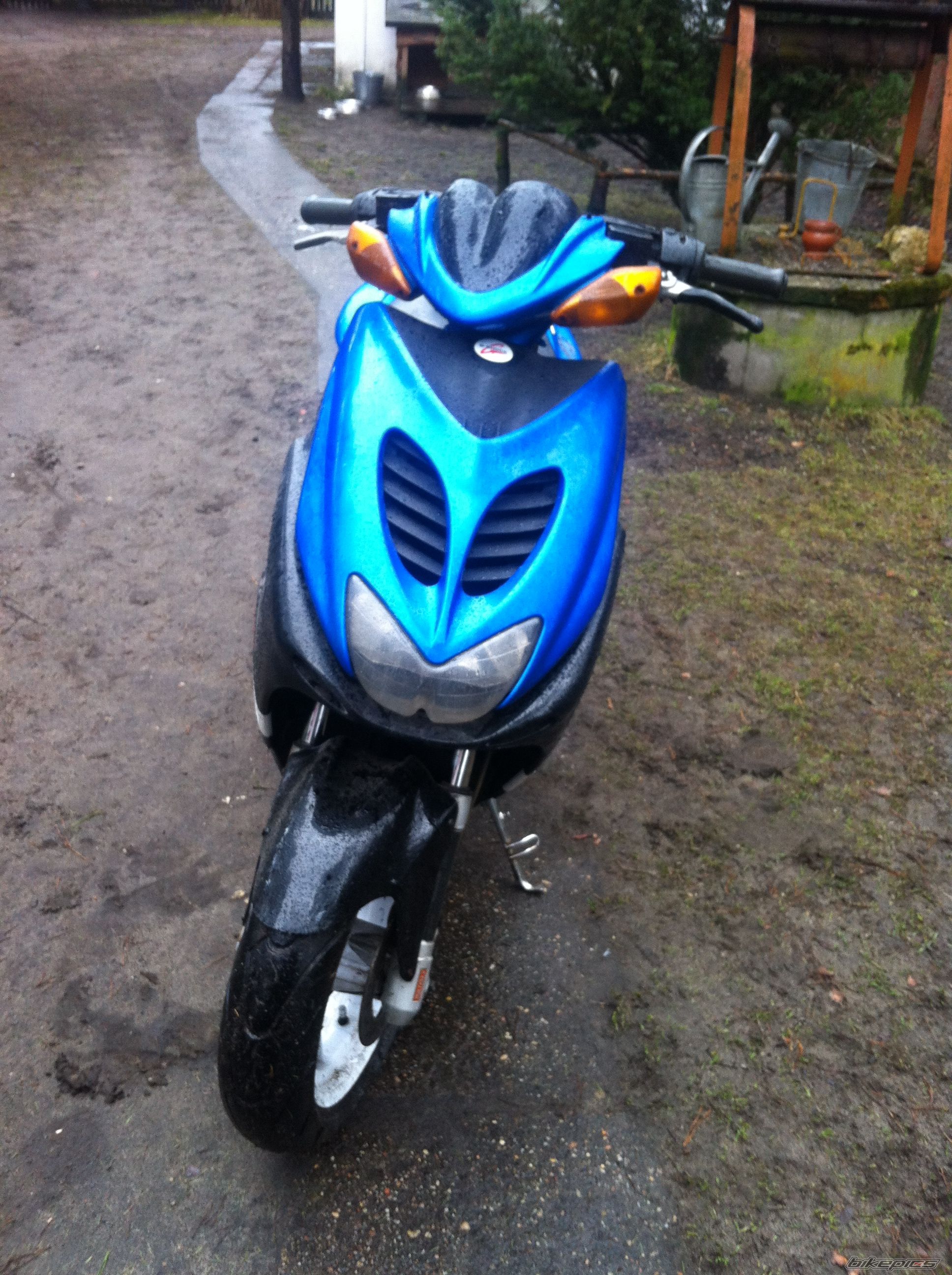 Photo 2731885