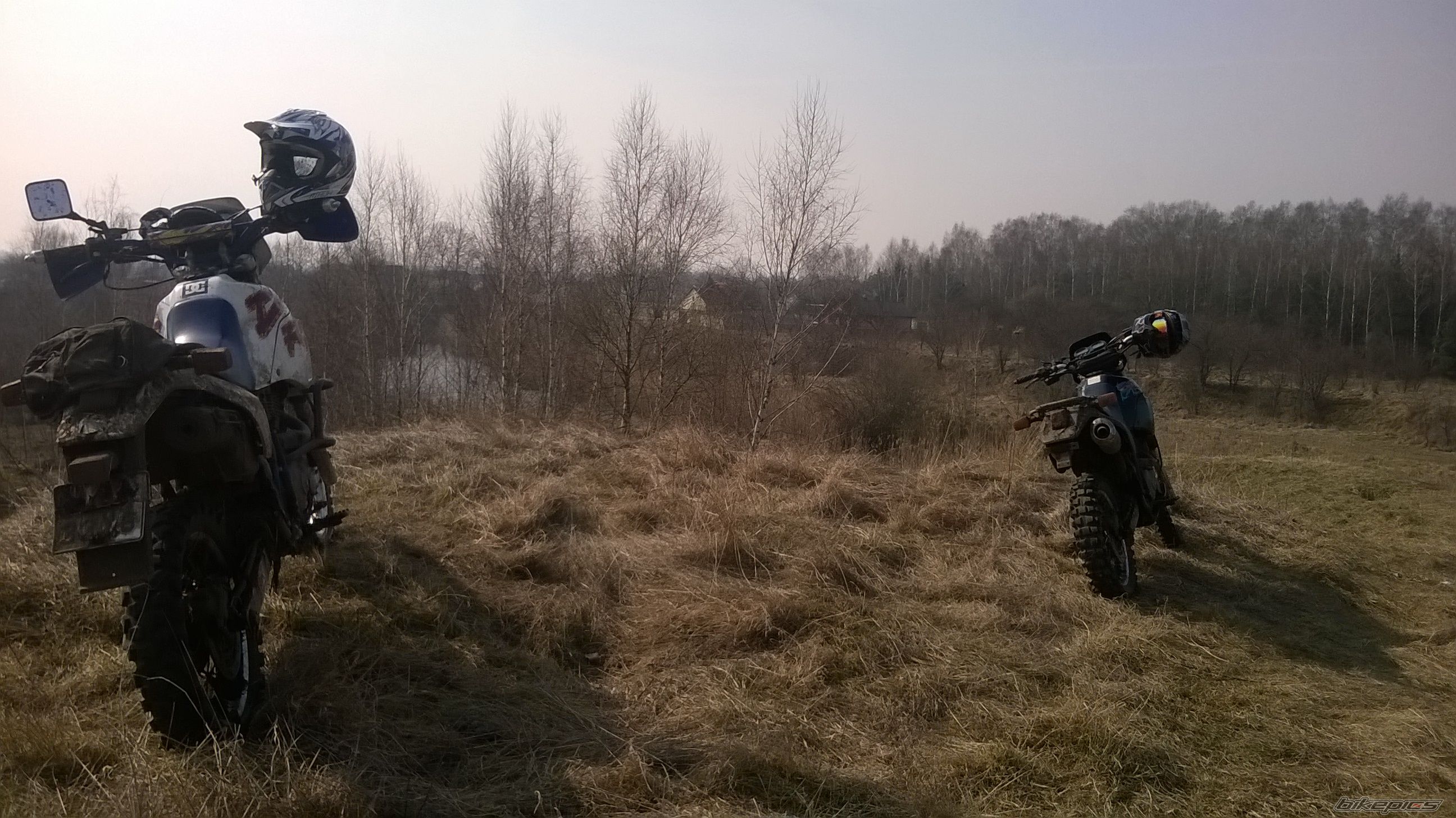 Photo 2731887
