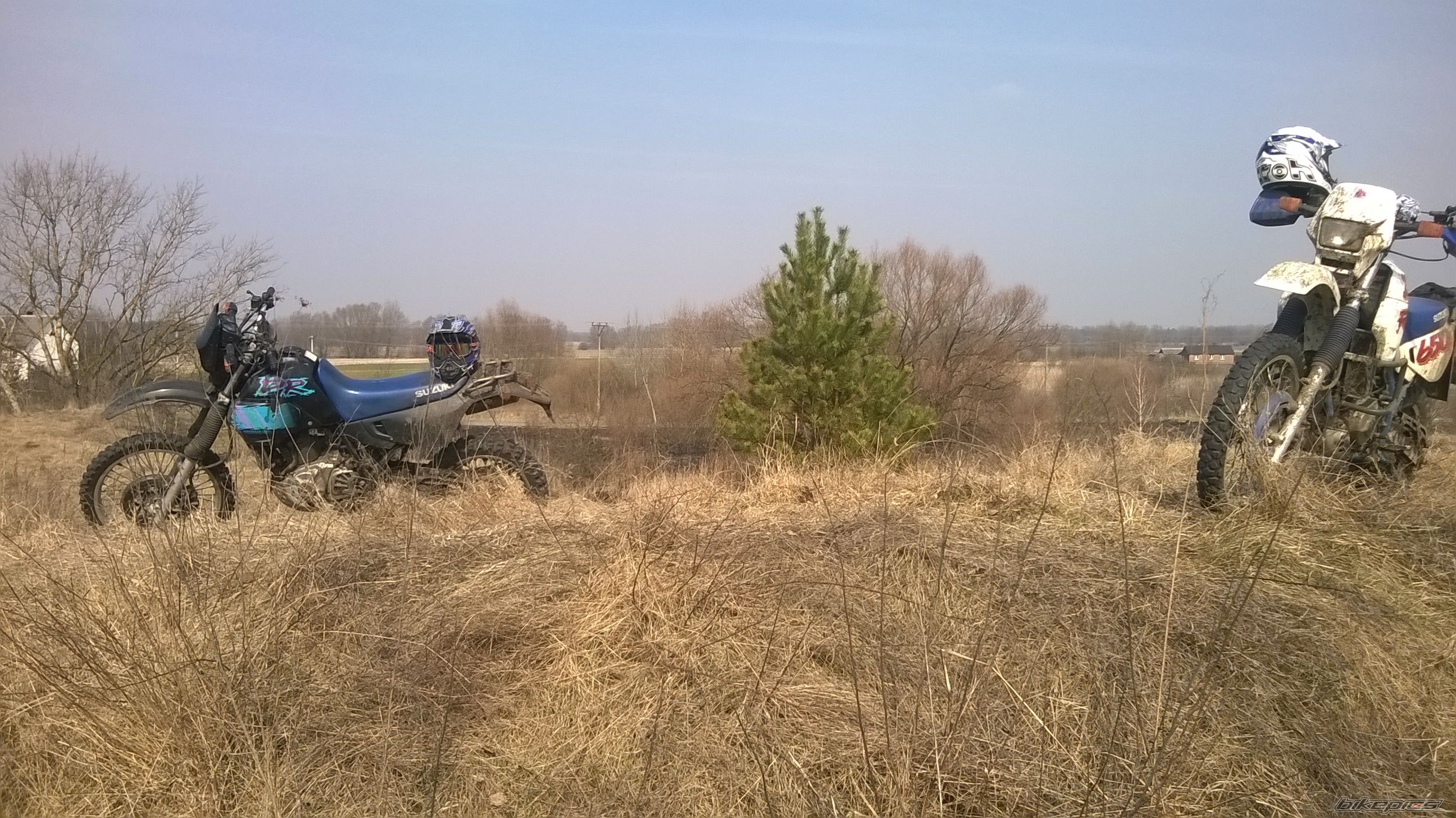 Photo 2731888