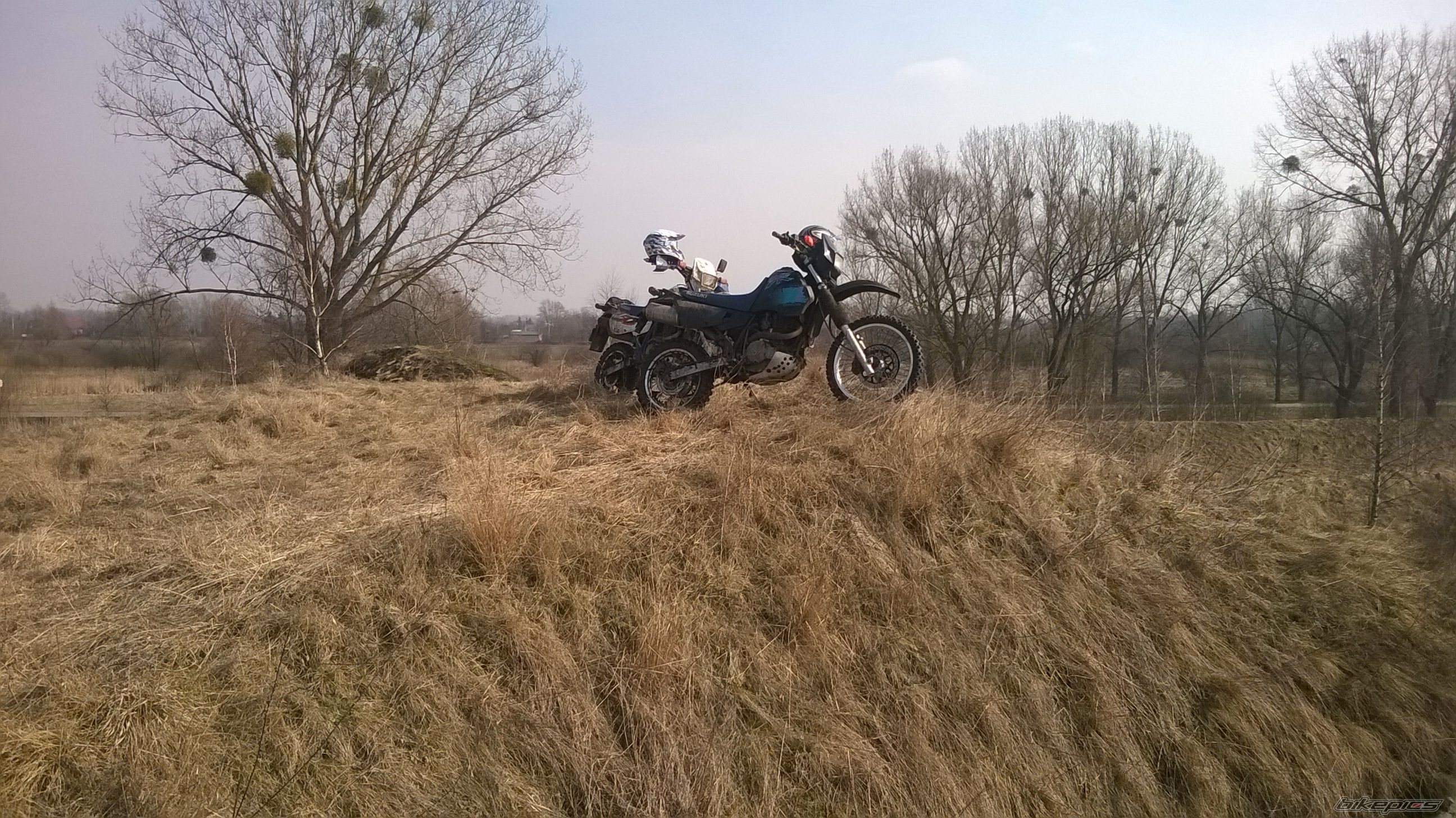 Photo 2731891