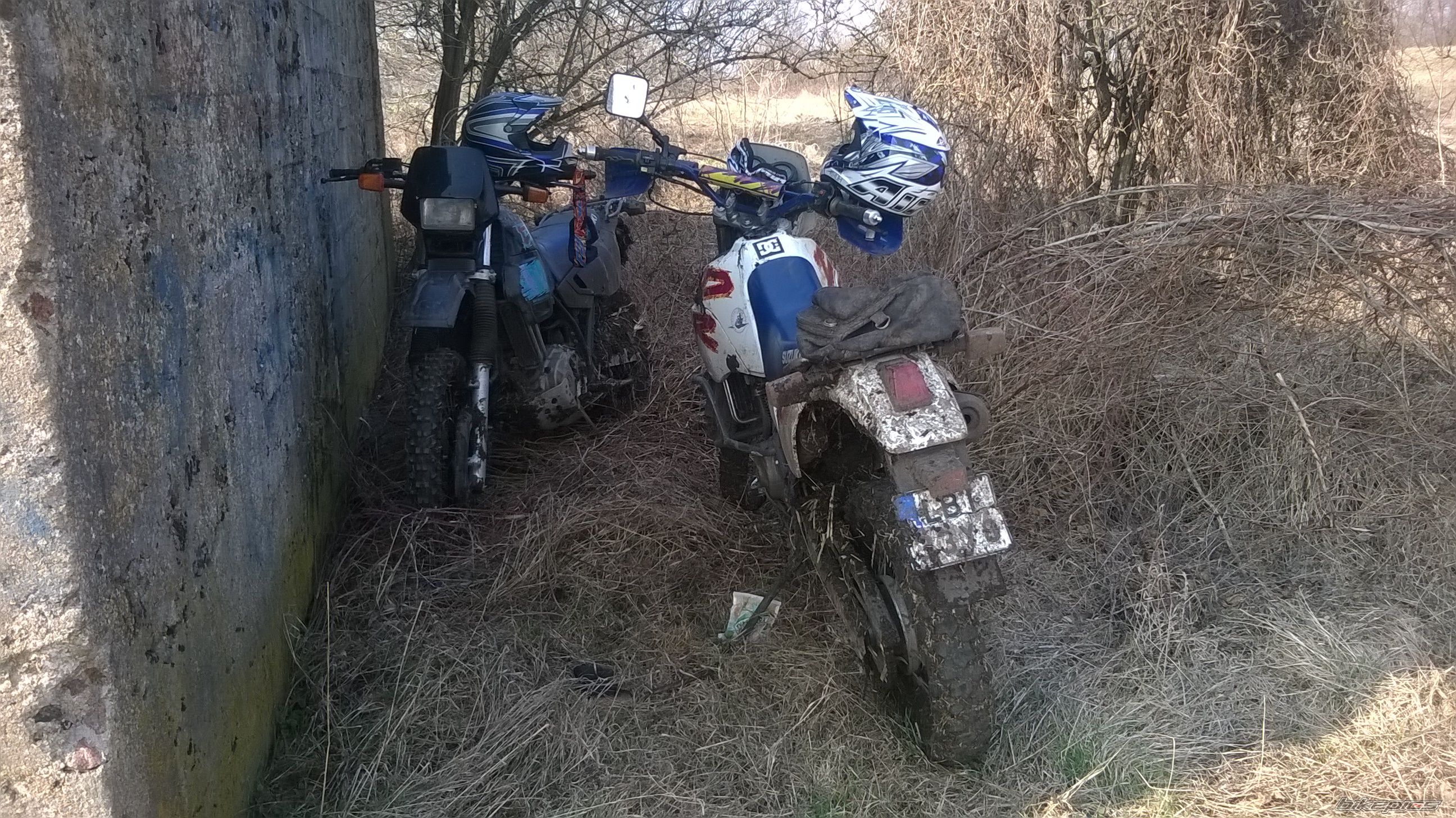 Photo 2731894