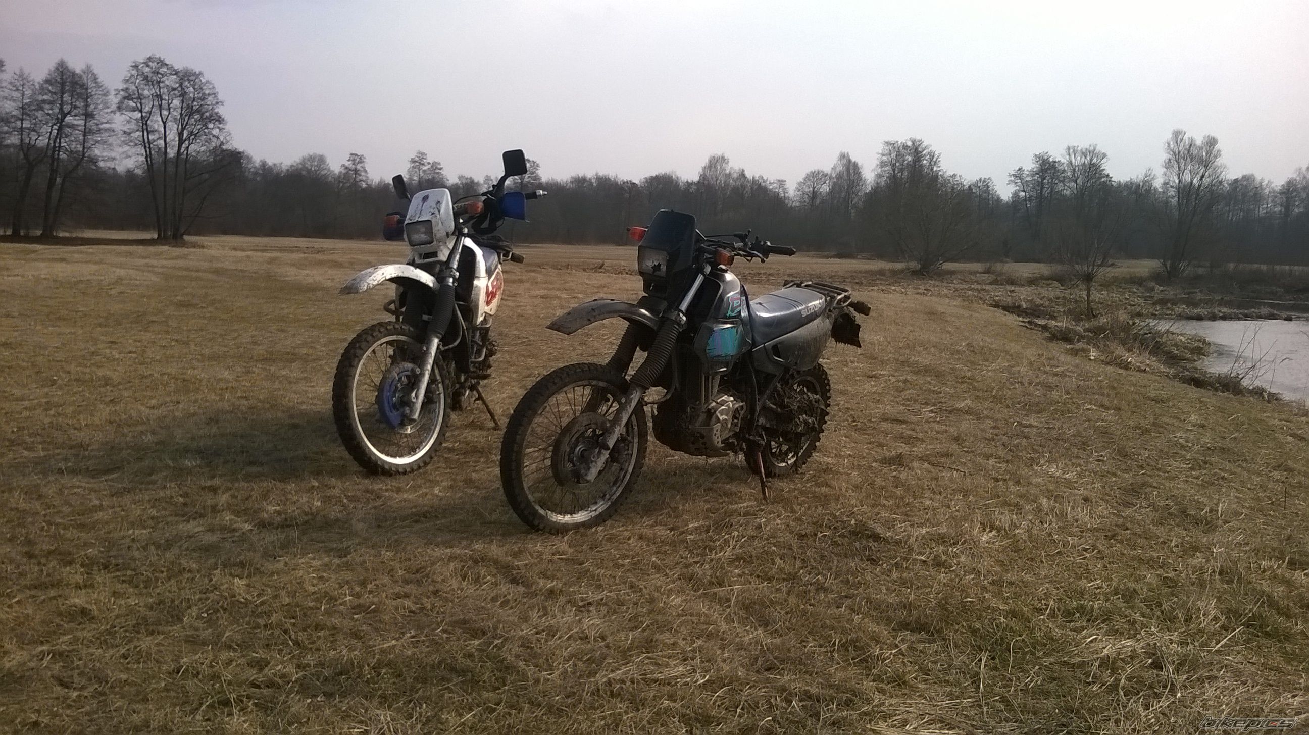 Photo 2731914