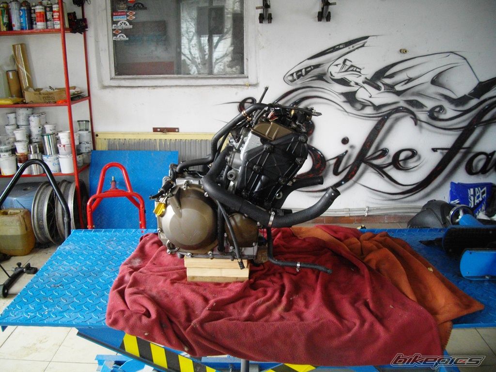 Photo 2731933