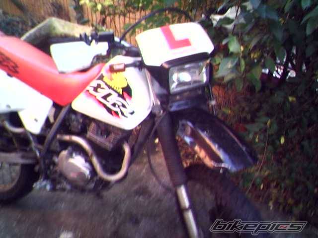 Photo 273217
