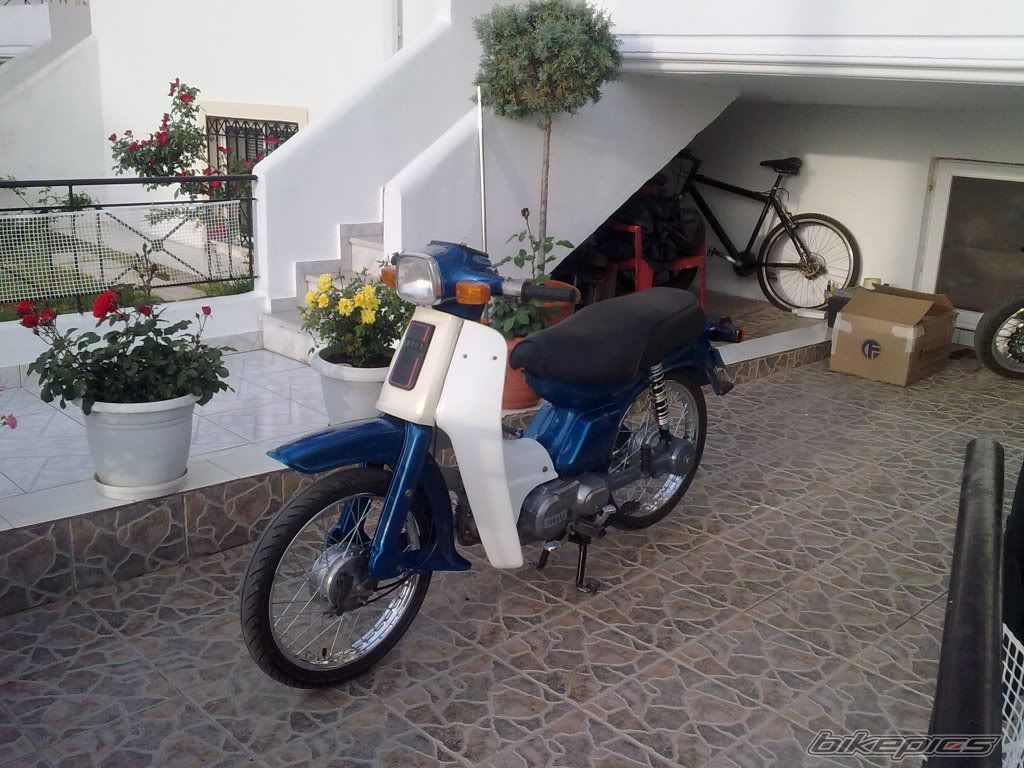 Photo 2732204