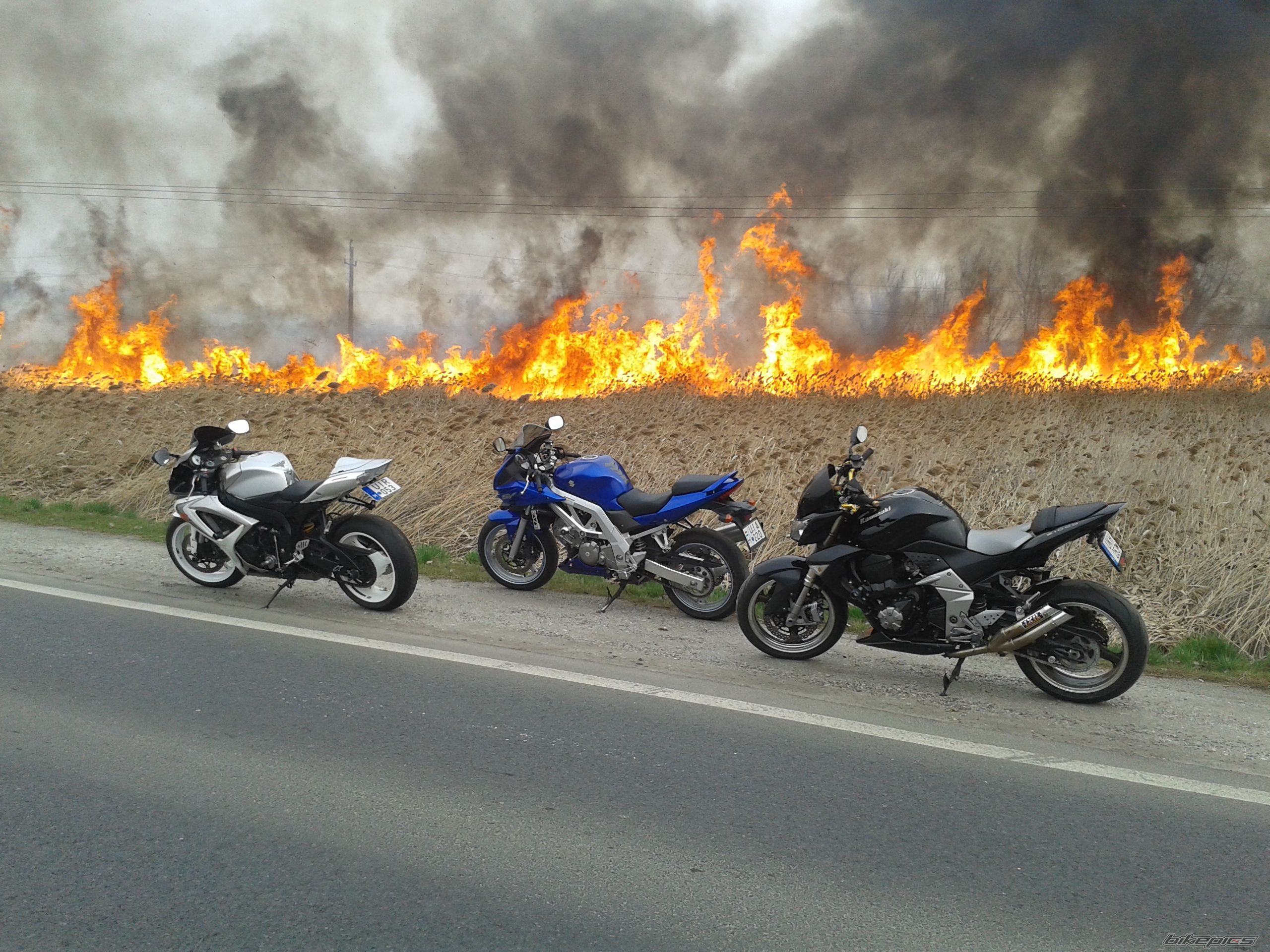 Photo 2732225