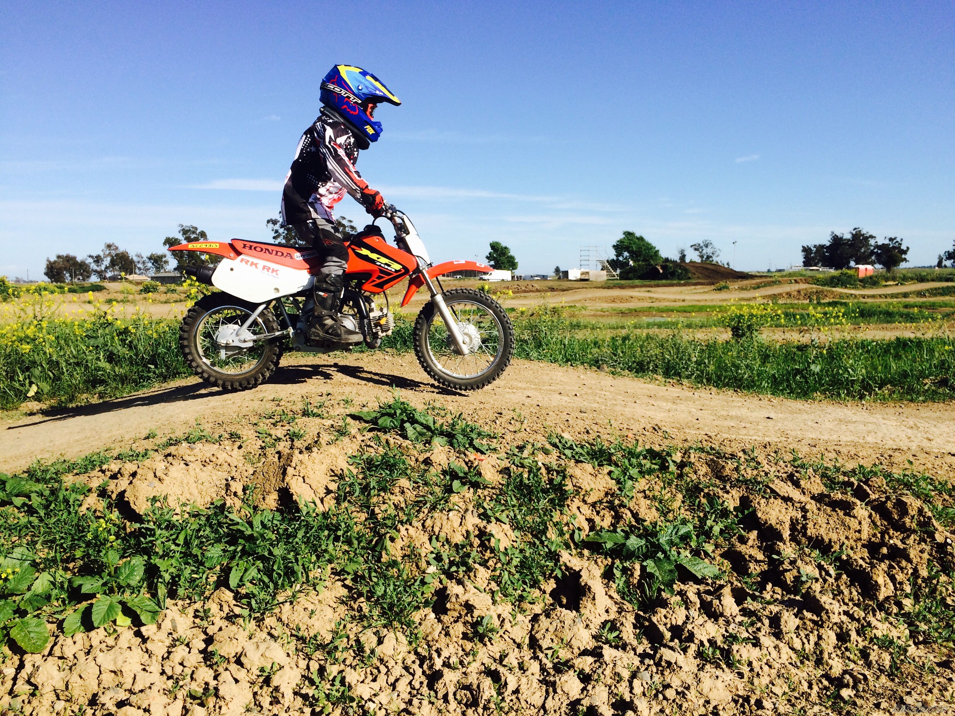 Photo 2732263