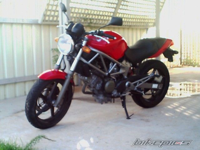 Photo 2732283