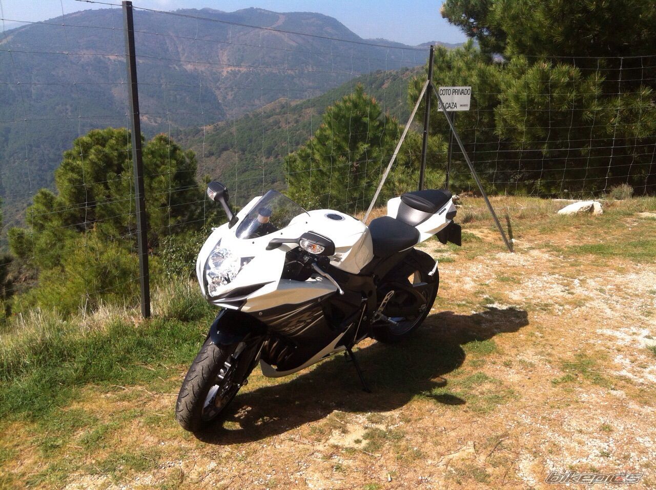 Photo 2732291