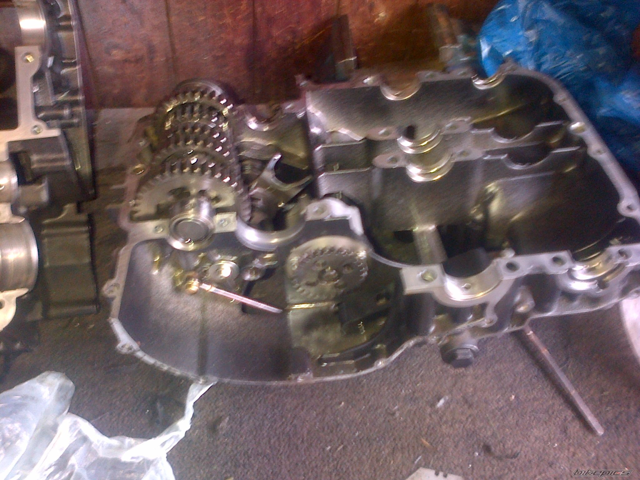 Photo 2732330