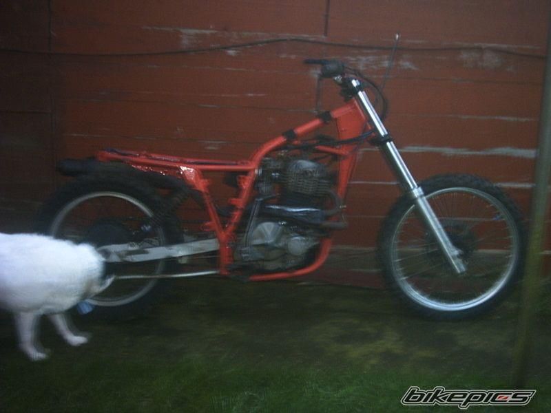 Photo 2732335