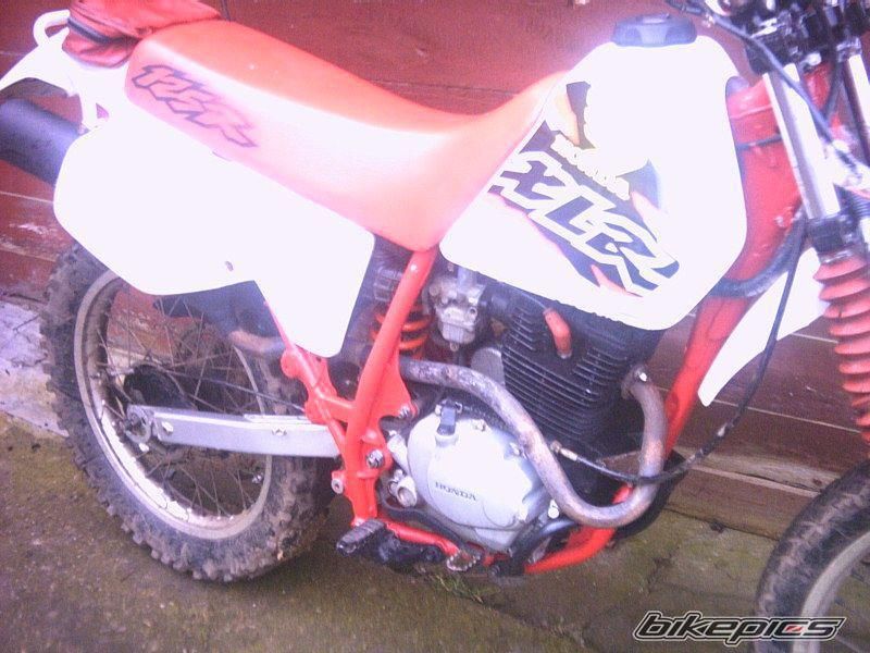 Photo 2732353