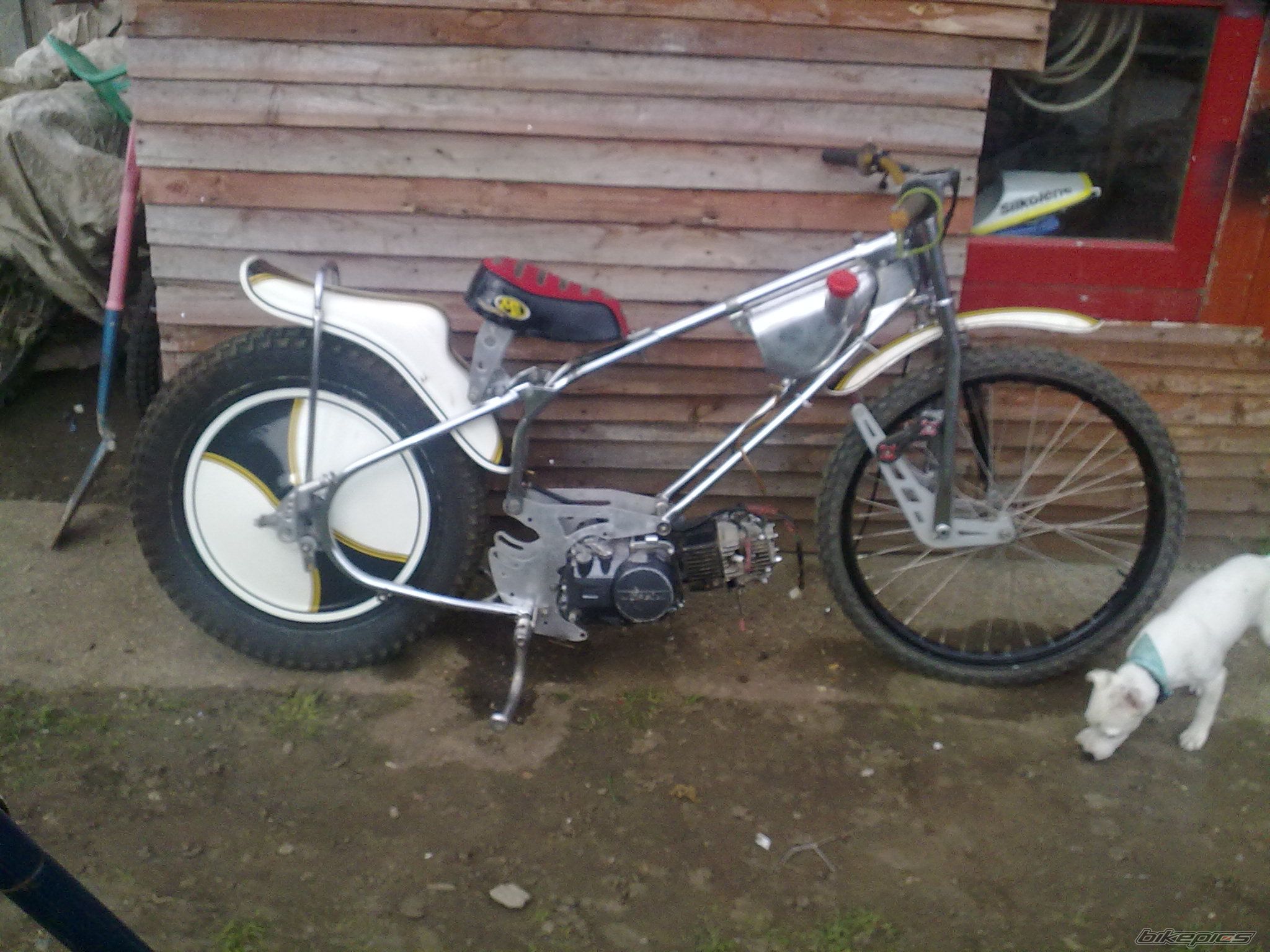 Photo 2732405