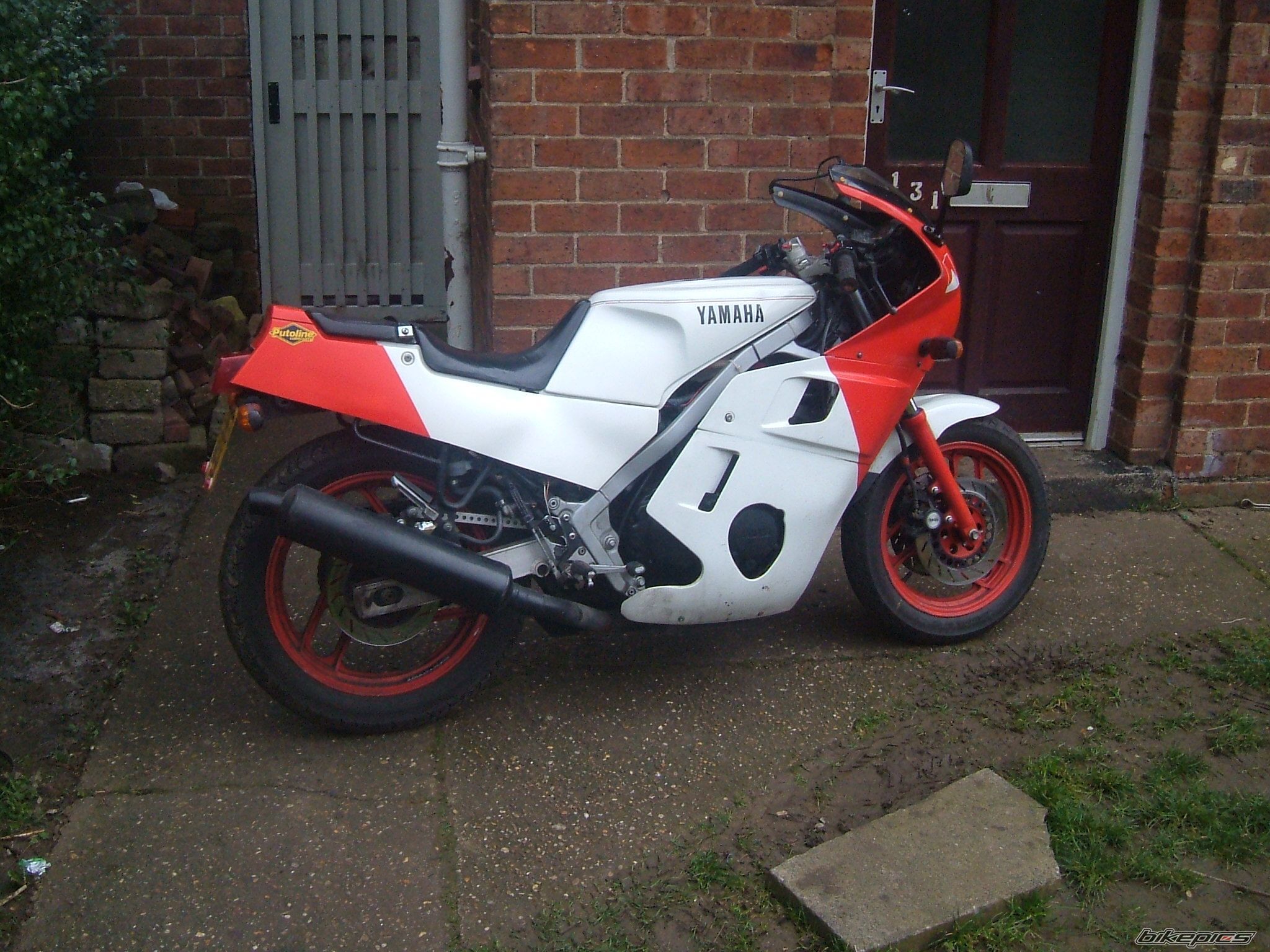 Photo 2732413
