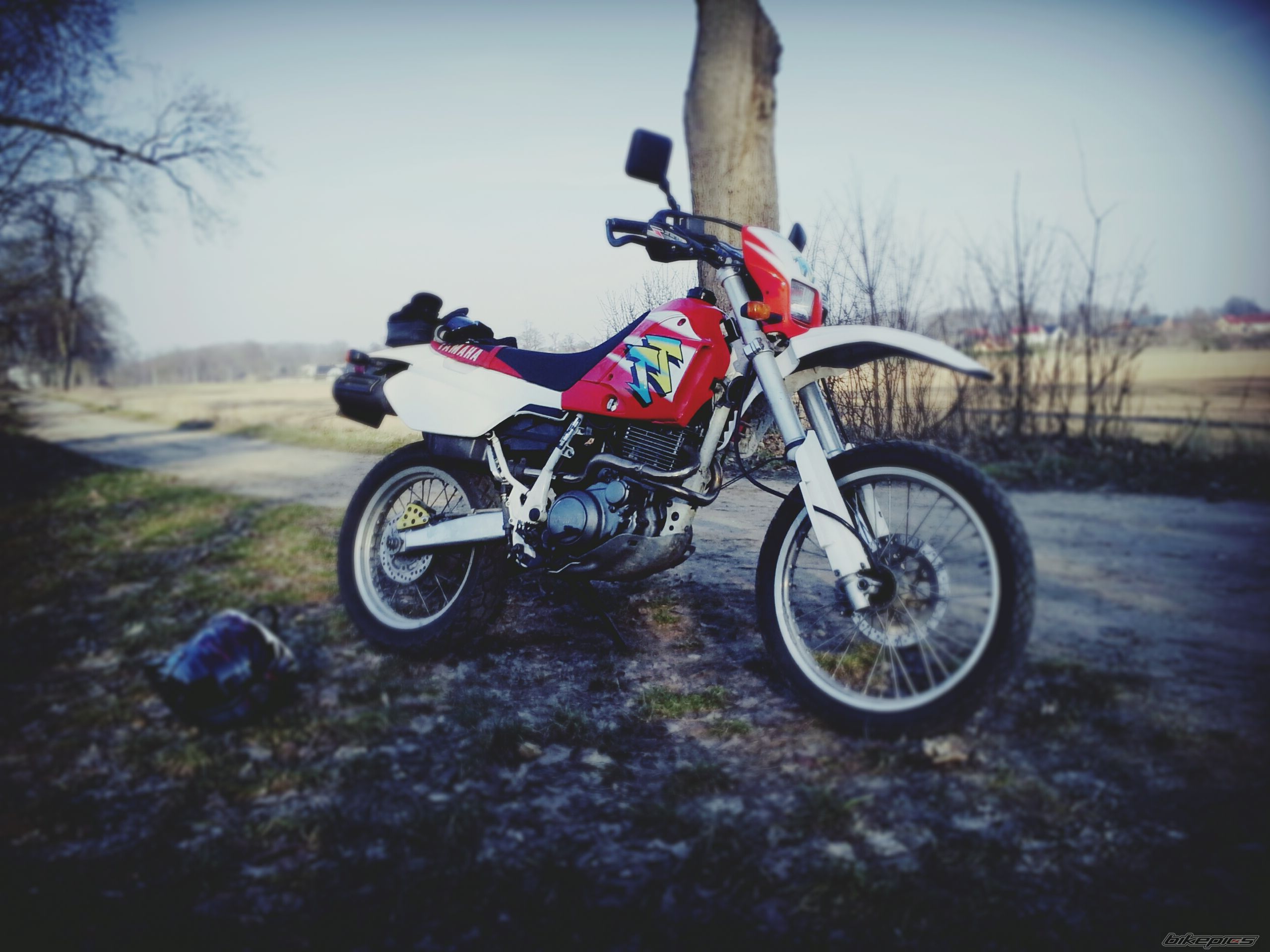 Photo 2732460