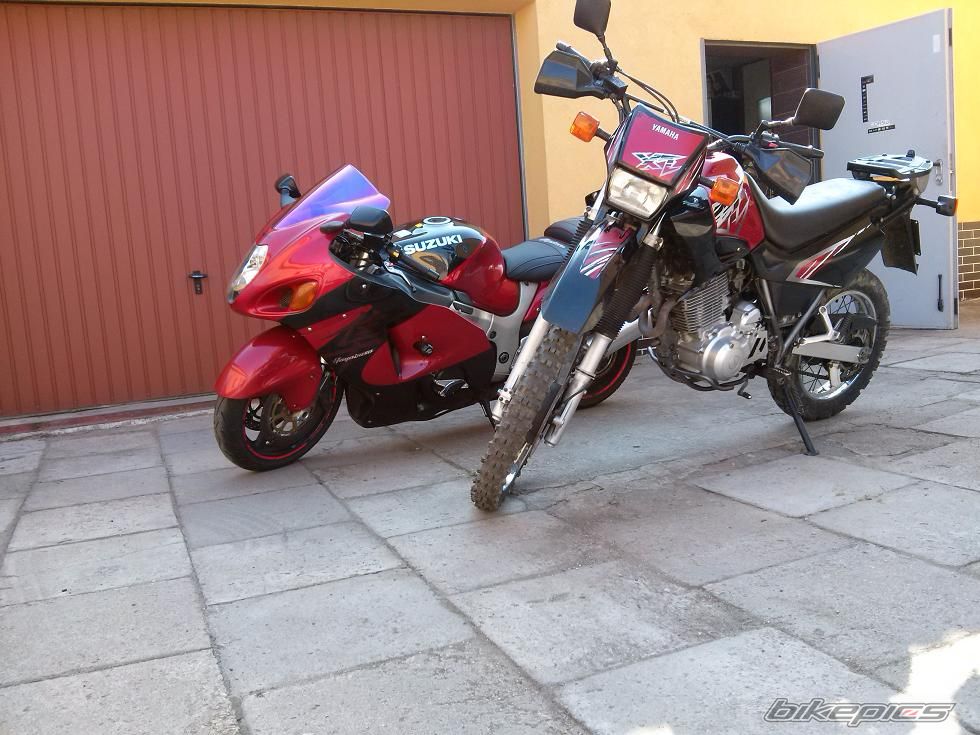 Photo 2732531