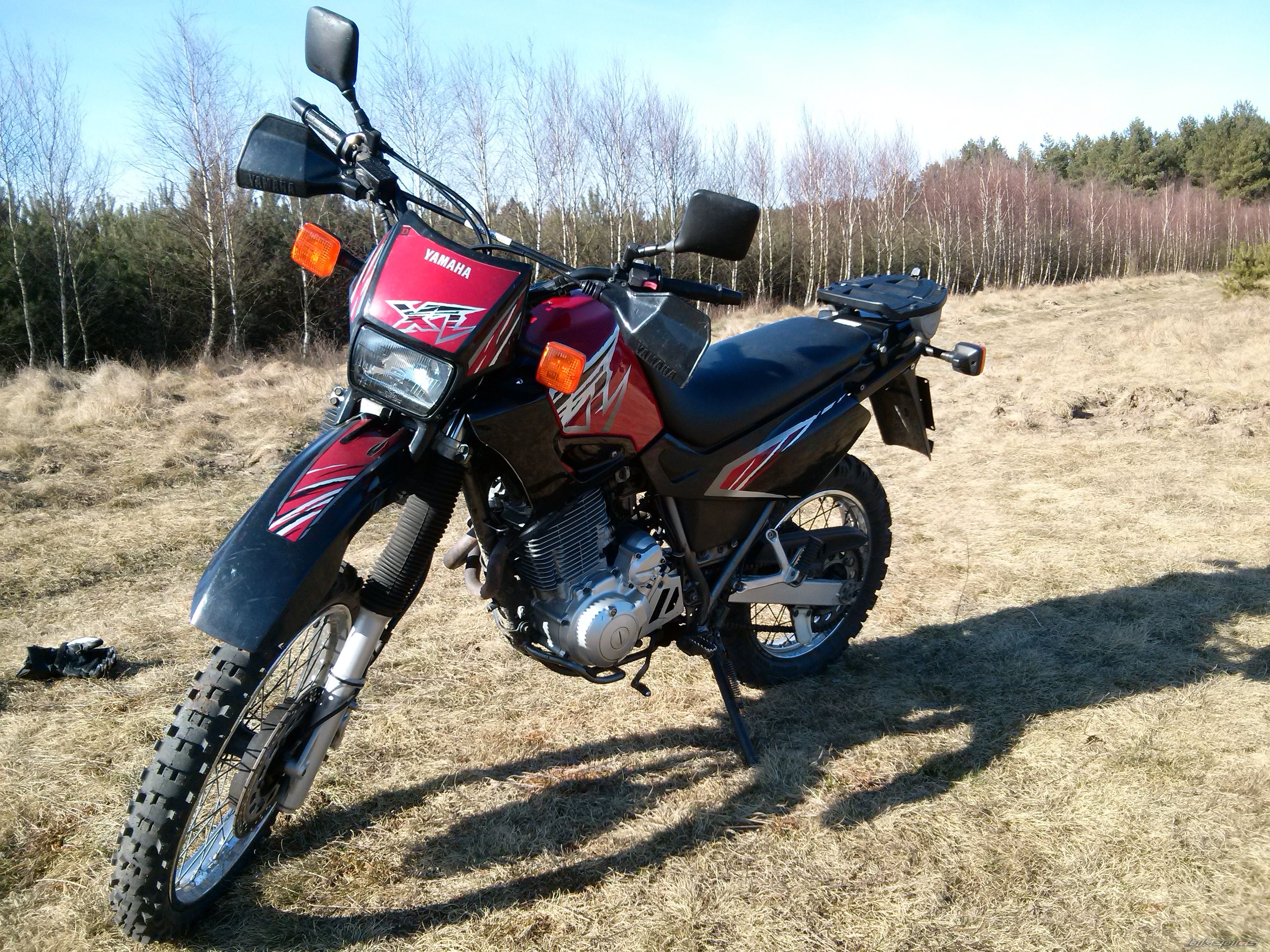 Photo 2732533