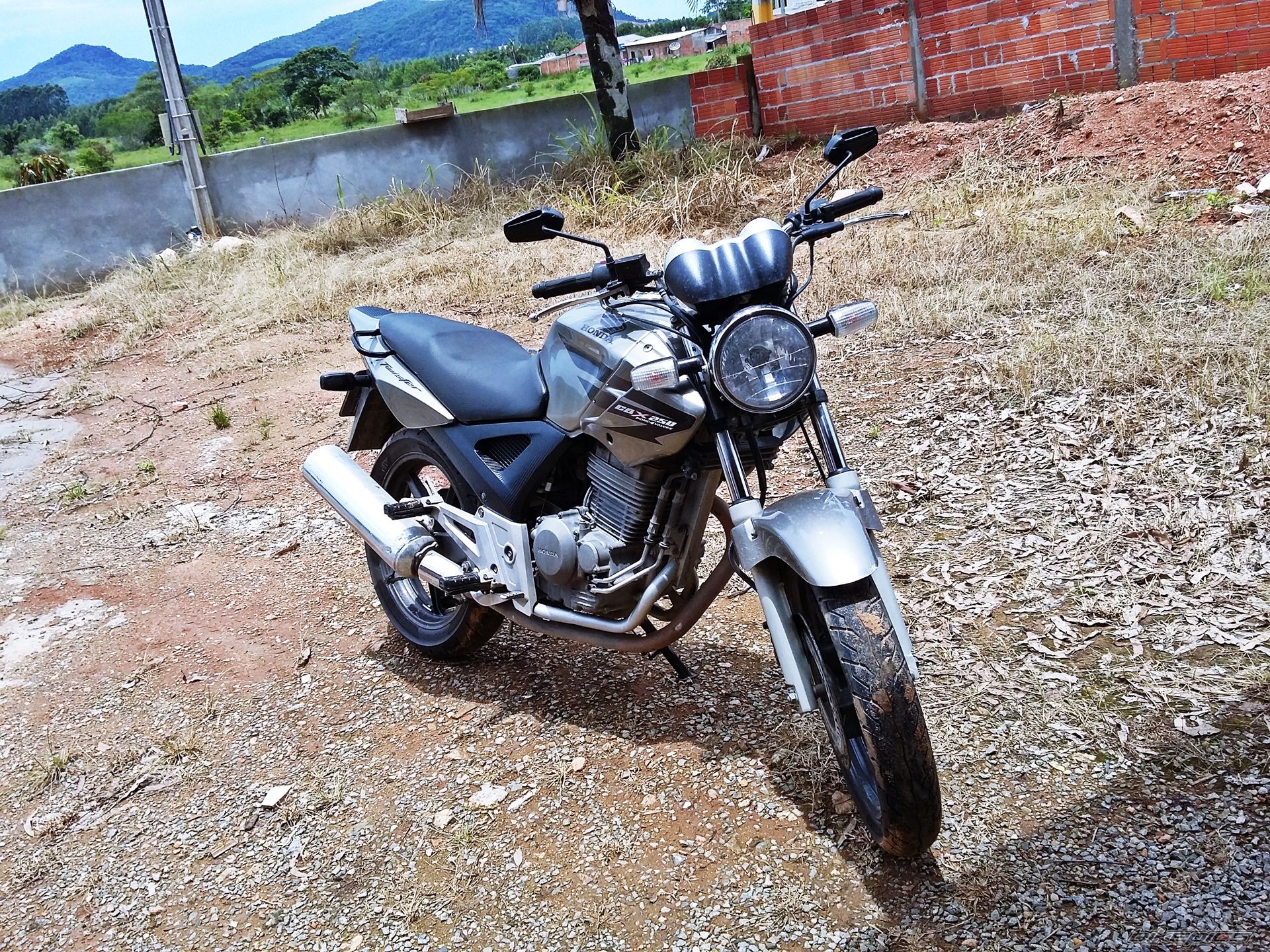 Photo 2732576