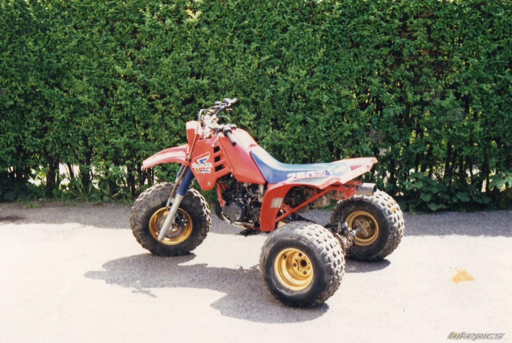 Photo 2732615