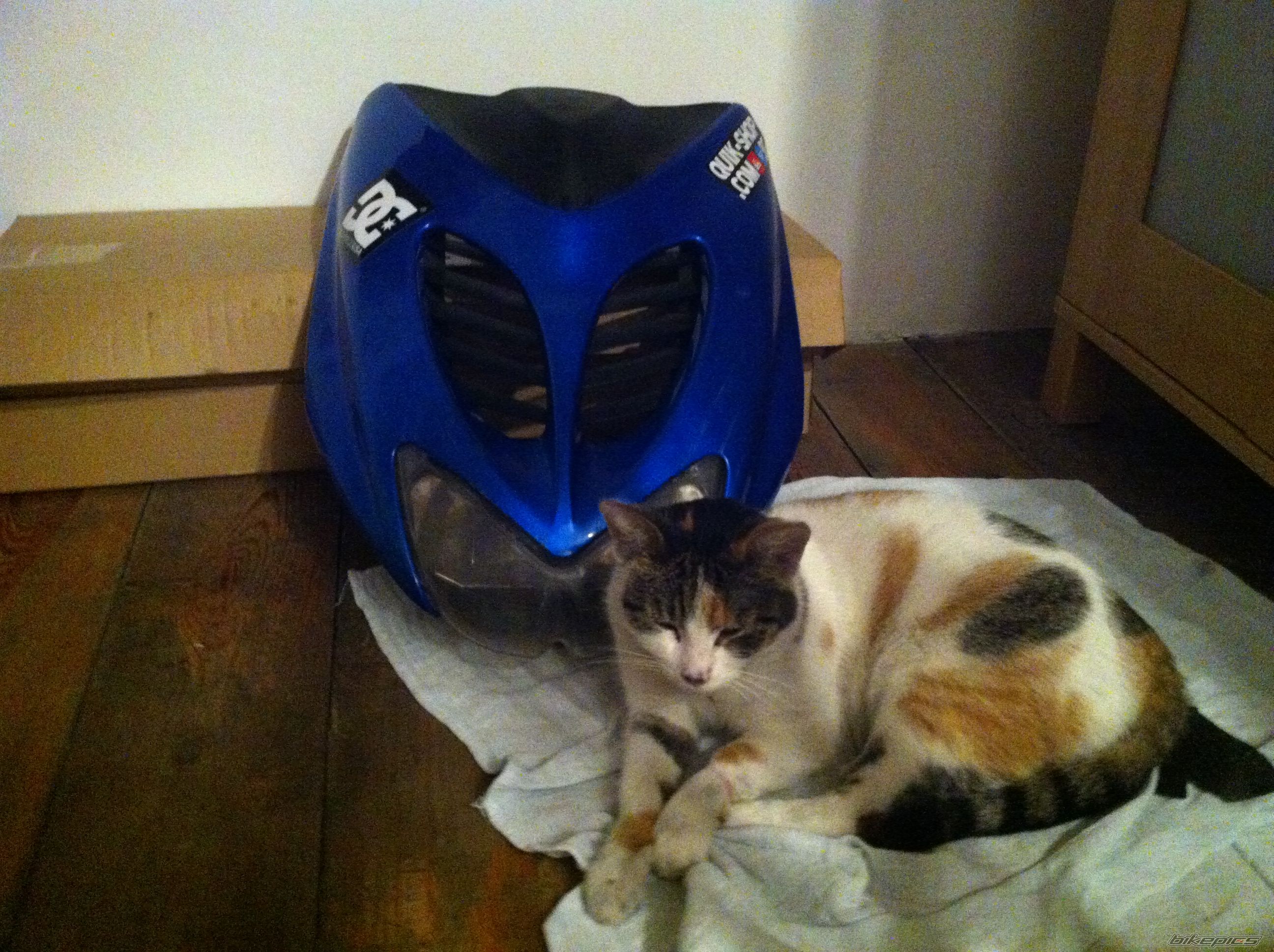 Photo 2732670