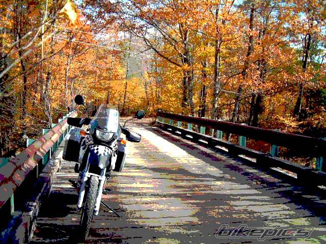 Bike Photo 273274