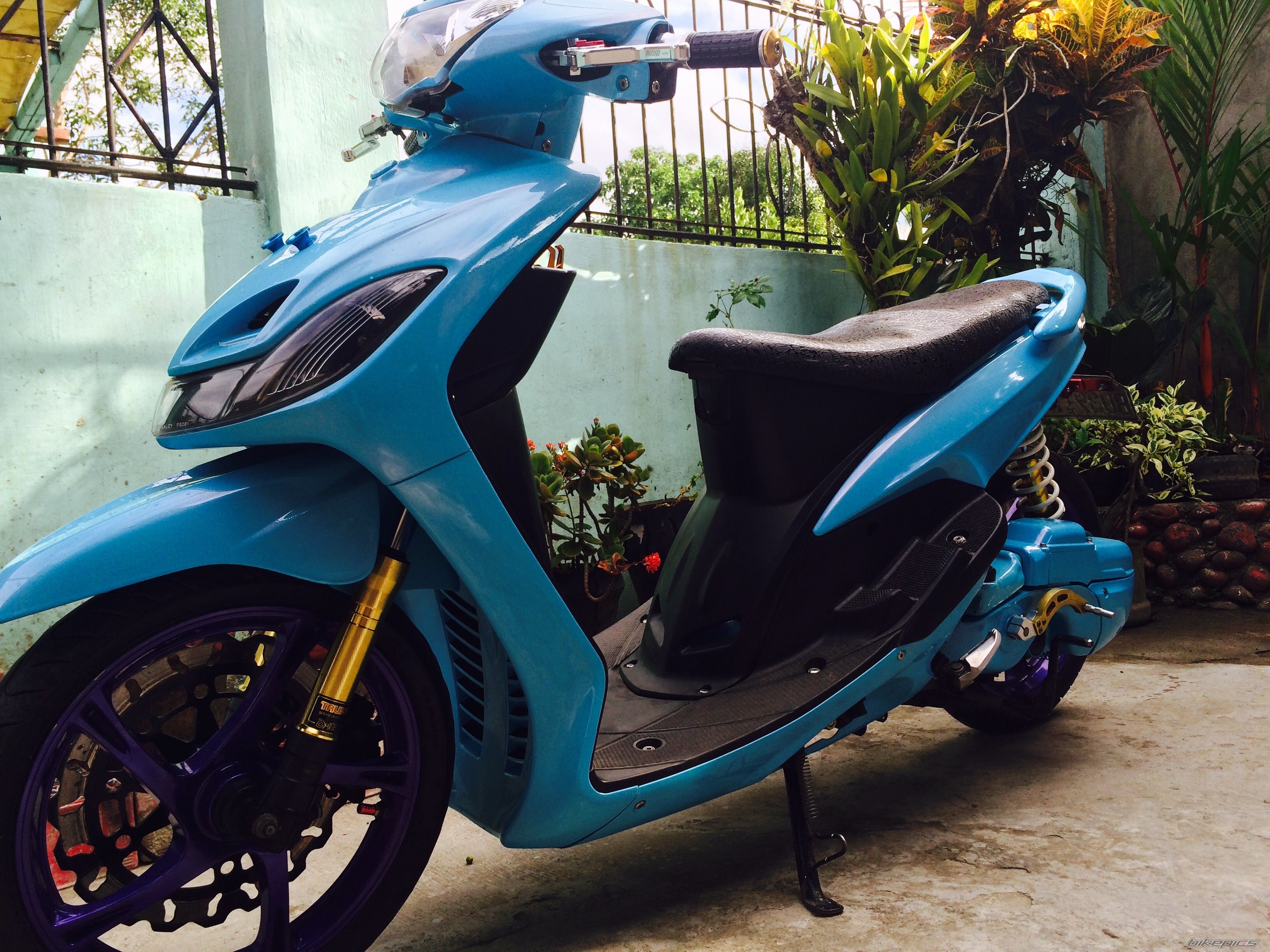 Photo 2732838
