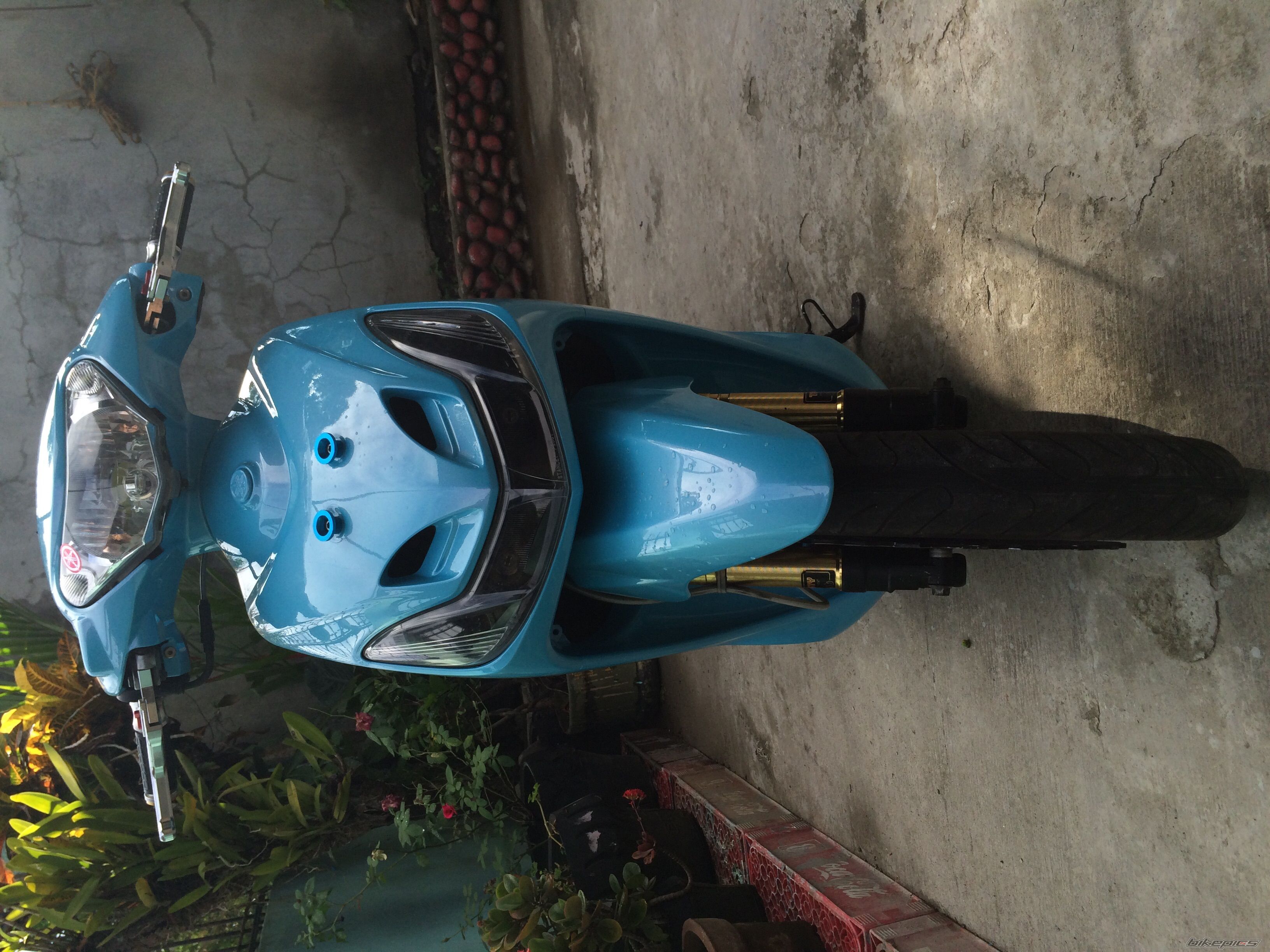Photo 2732840