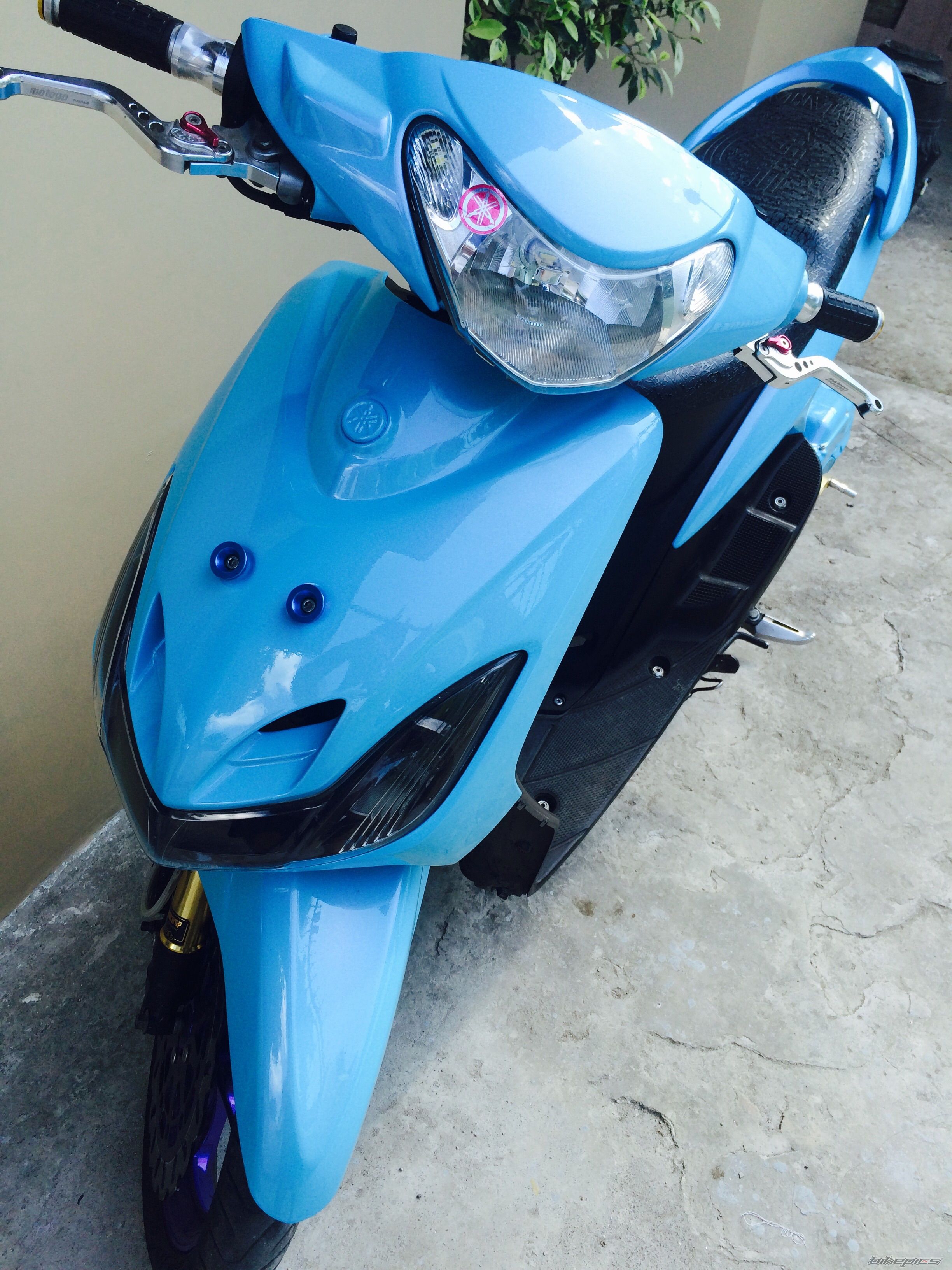 Photo 2732841