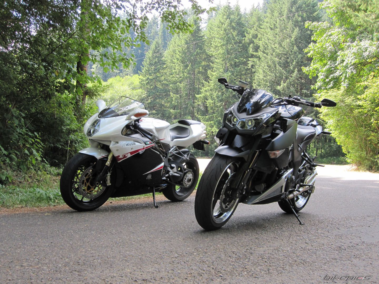 Photo 2732989