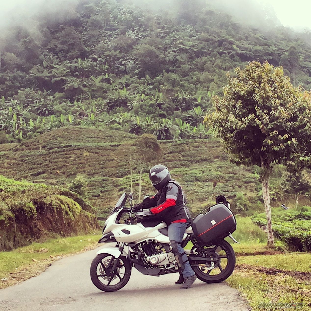 Bike Photo 2733106